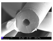 Preprints 102931 i003