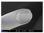 Preprints 102931 i004