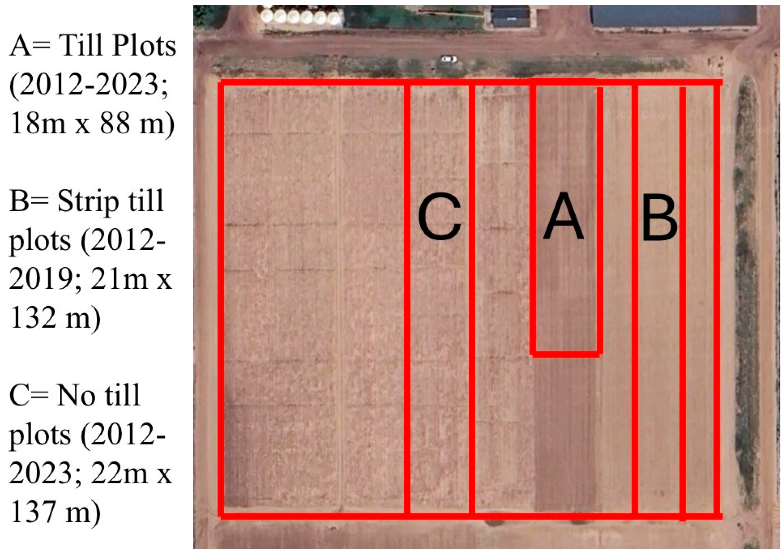 Preprints 121359 g001
