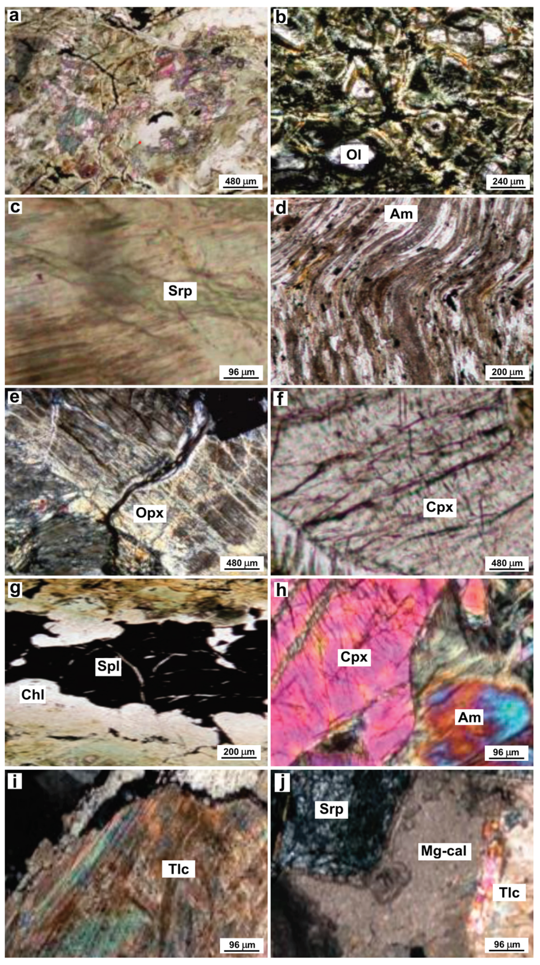Preprints 100210 g003