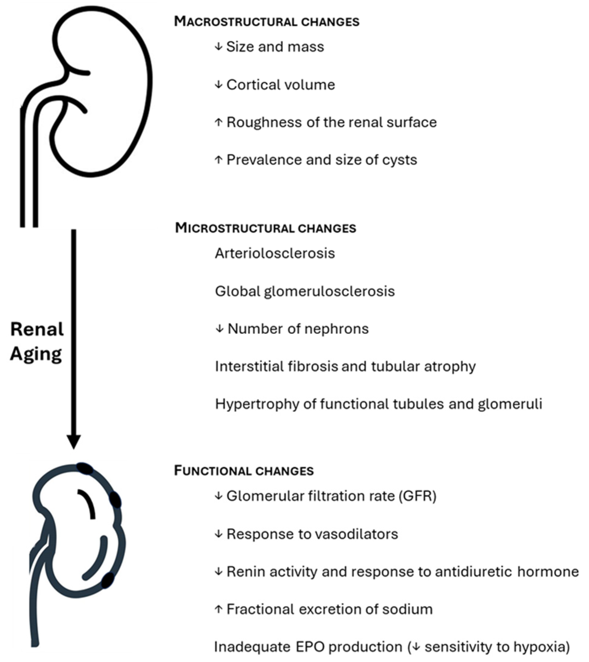 Preprints 147201 g001
