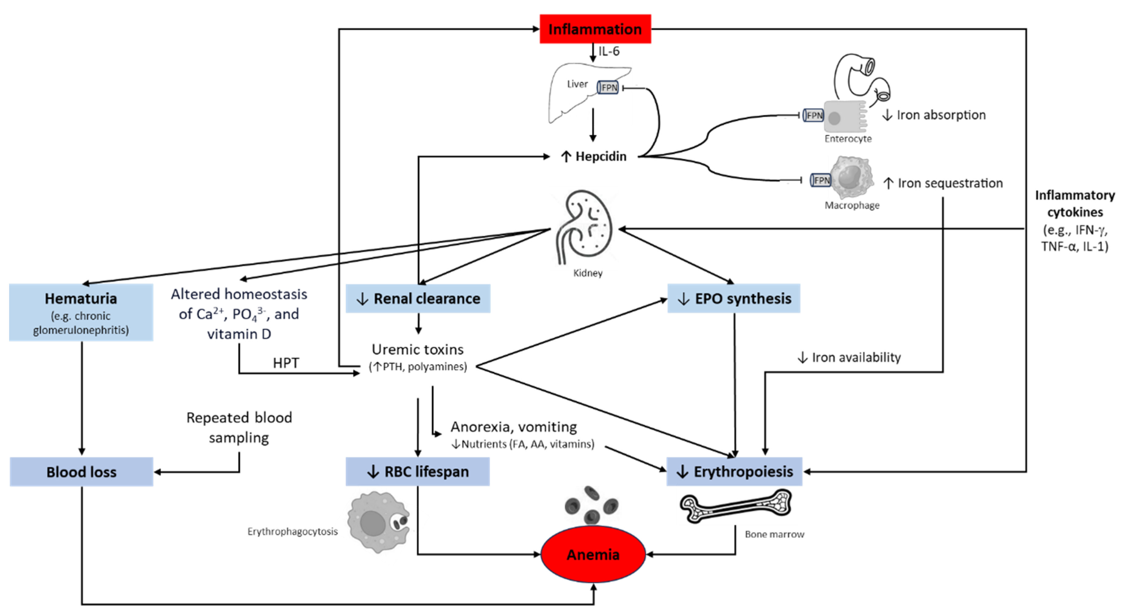 Preprints 147201 g003