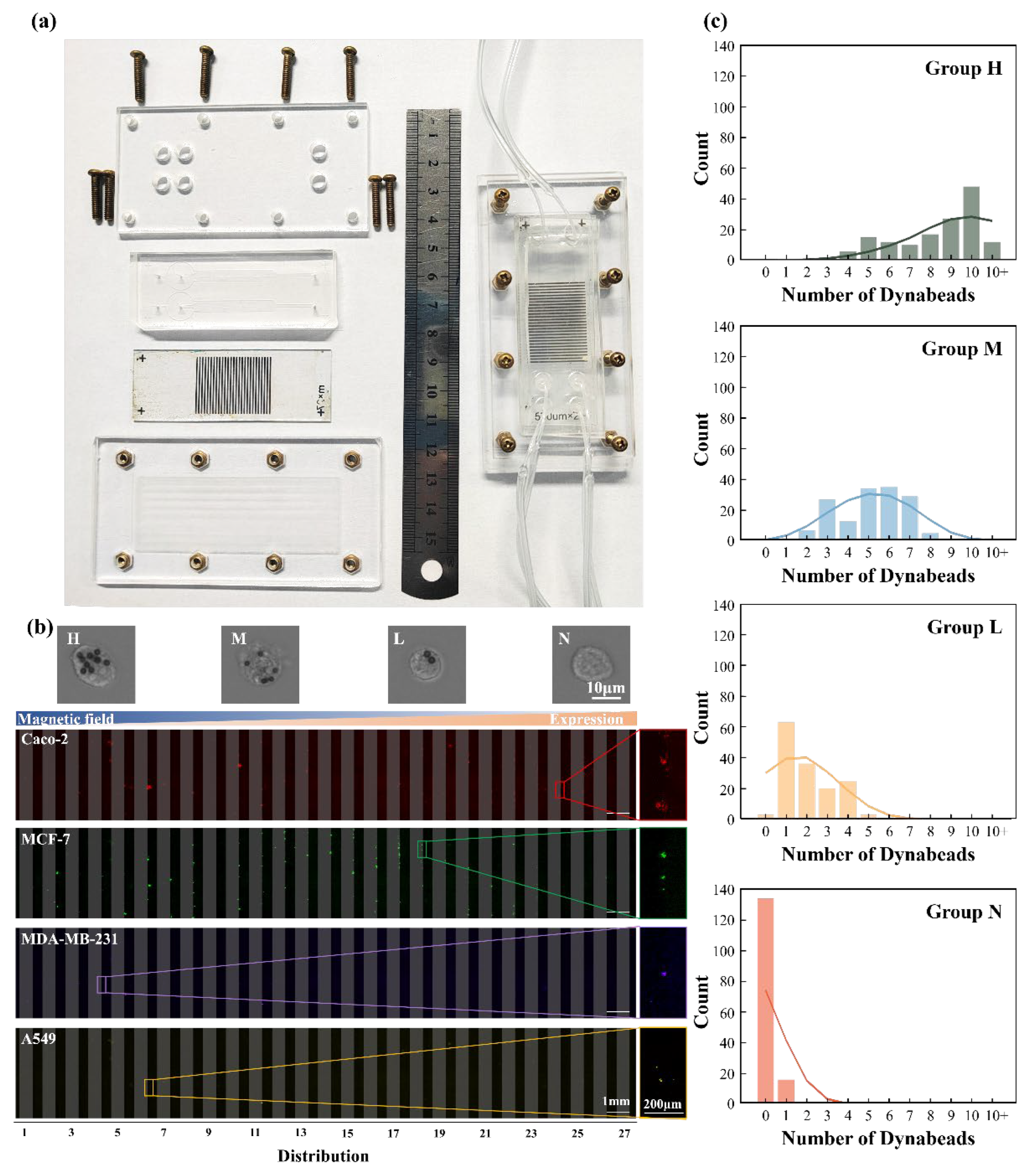 Preprints 178574 g004