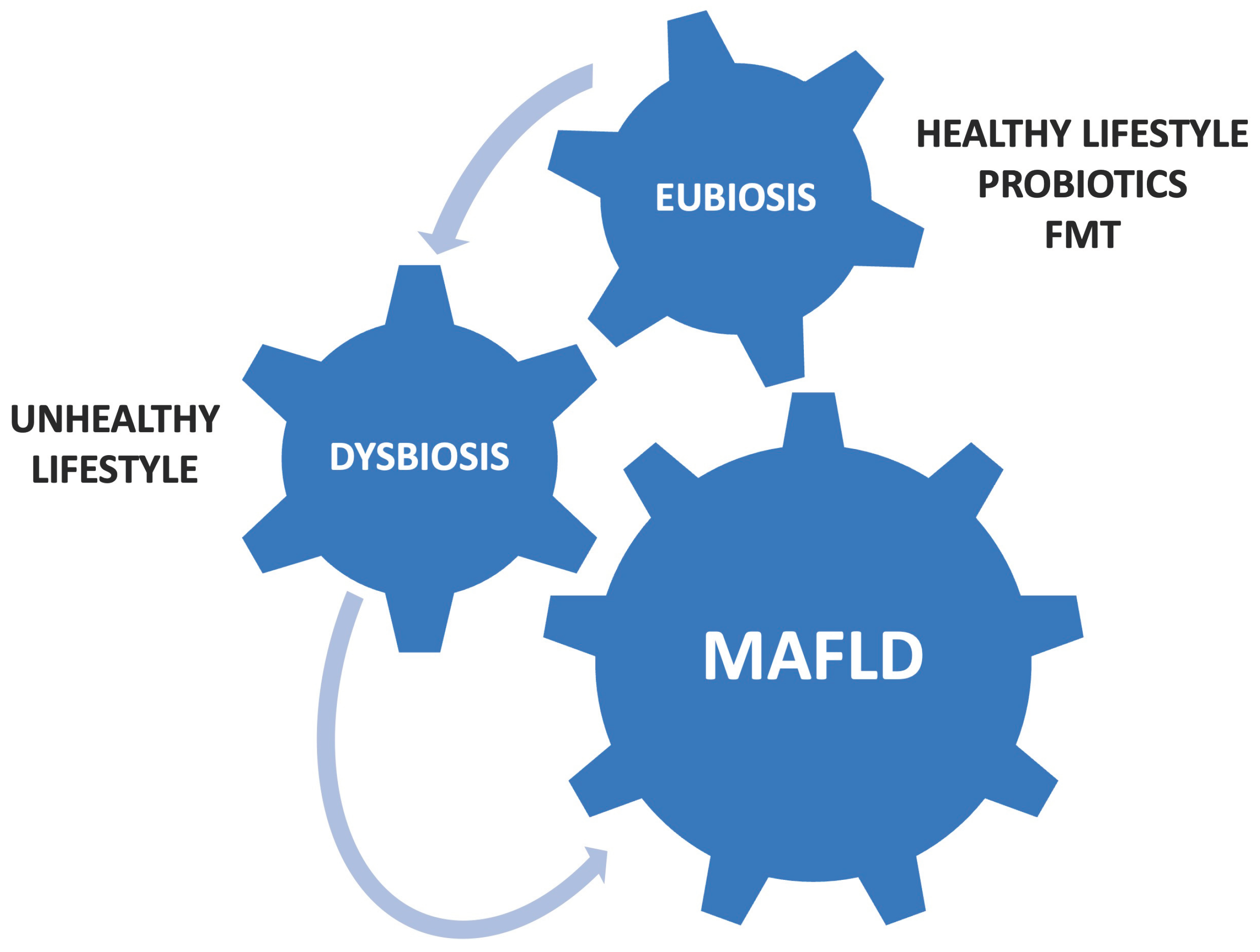 Preprints 100914 g001