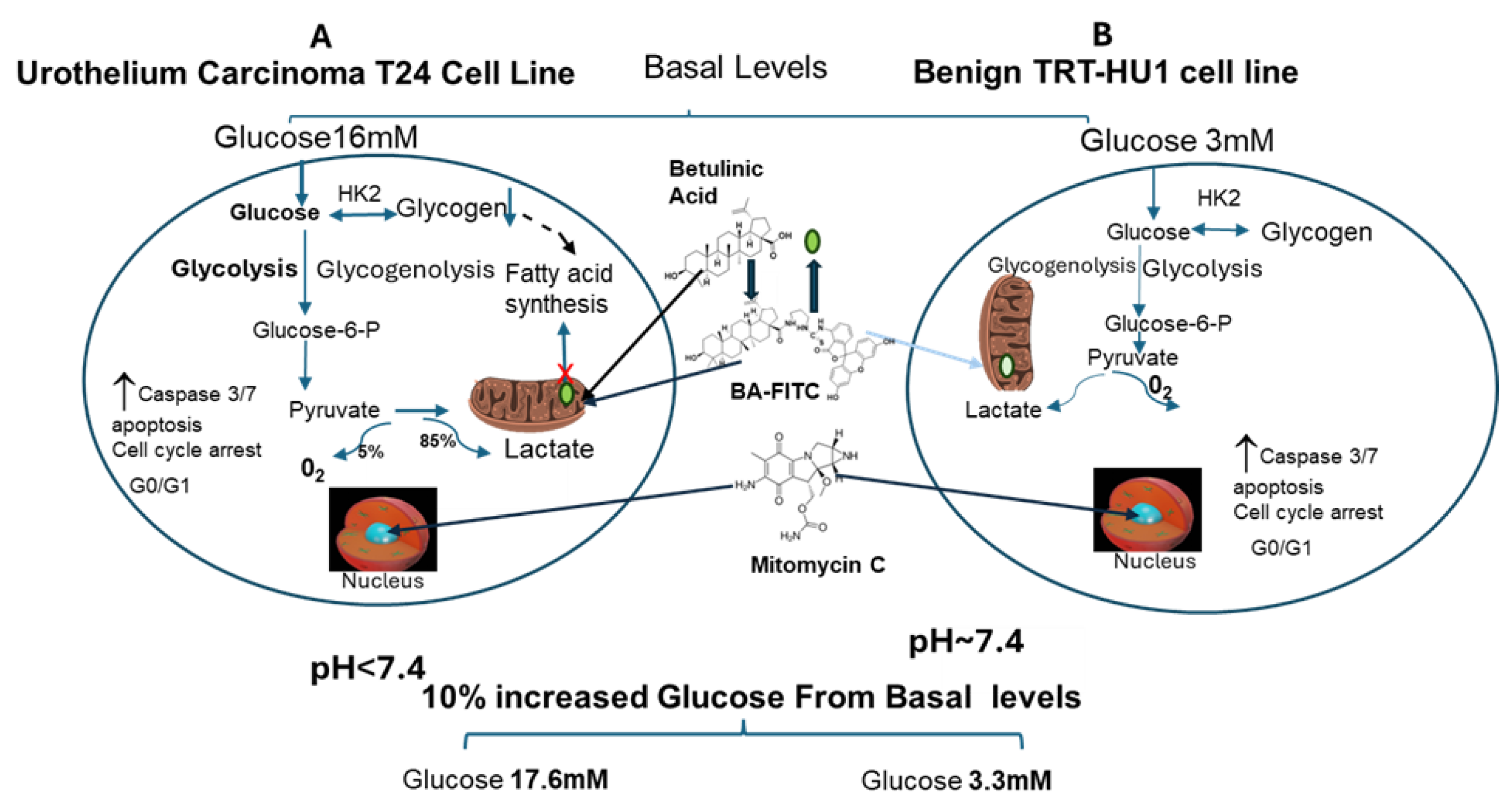 Preprints 160014 g001