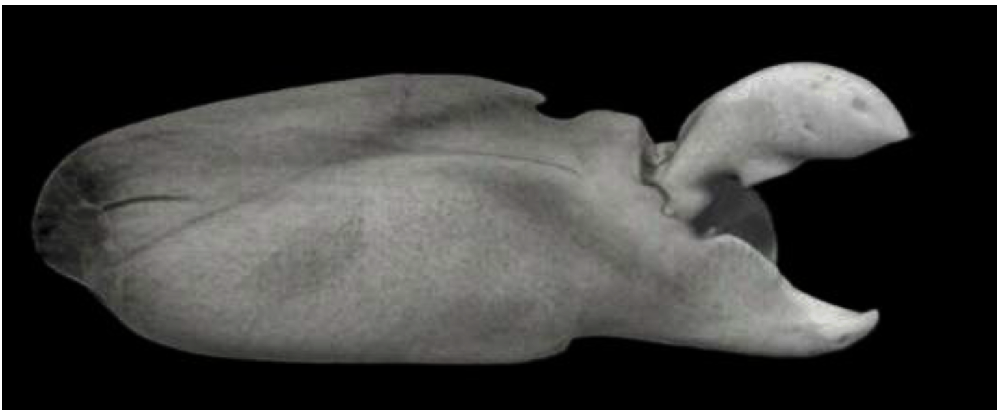 Preprints 91642 g007