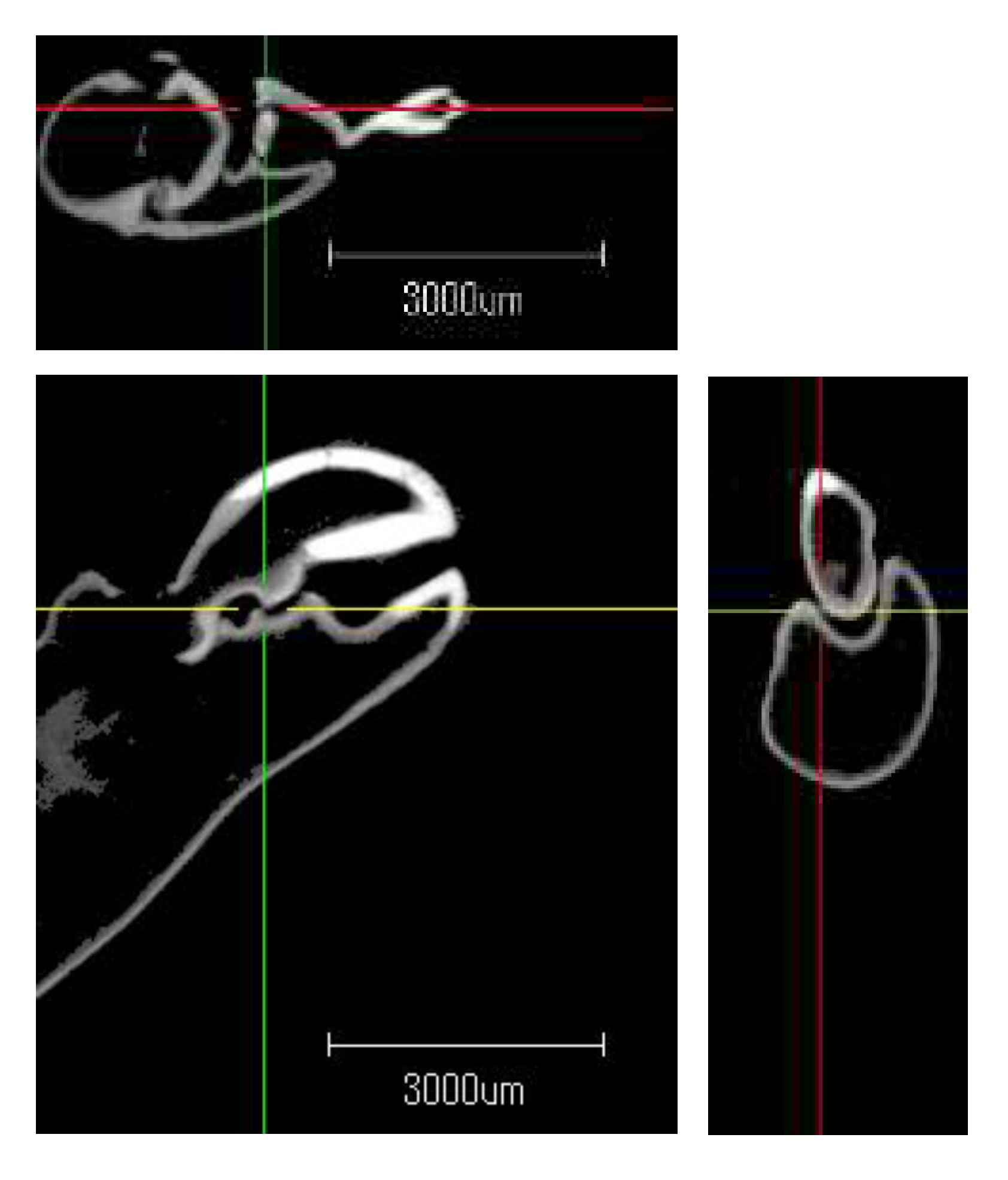 Preprints 91642 g008