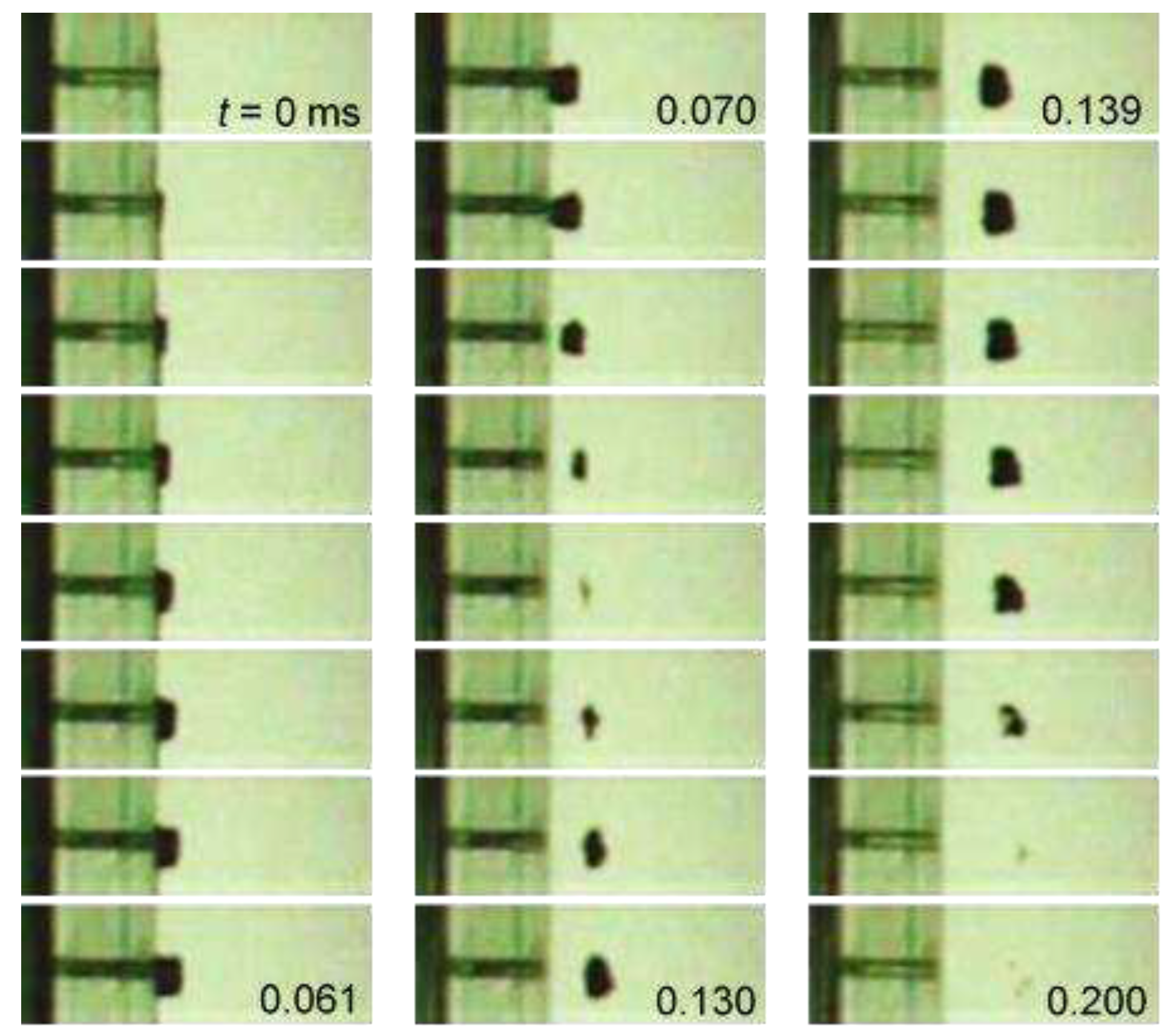 Preprints 91642 g012