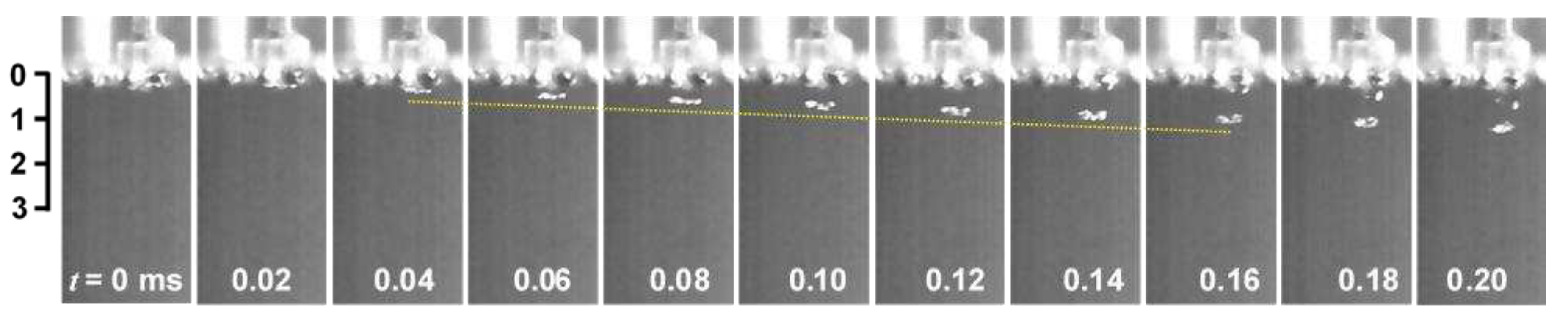 Preprints 91642 g013