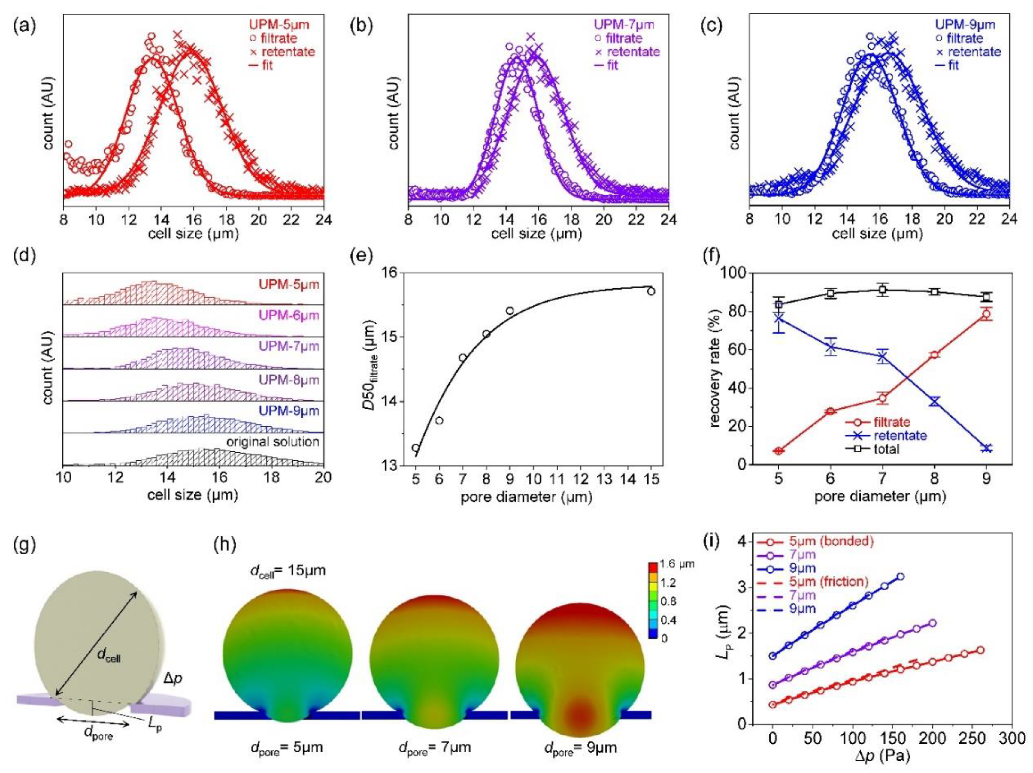 Preprints 79477 g004