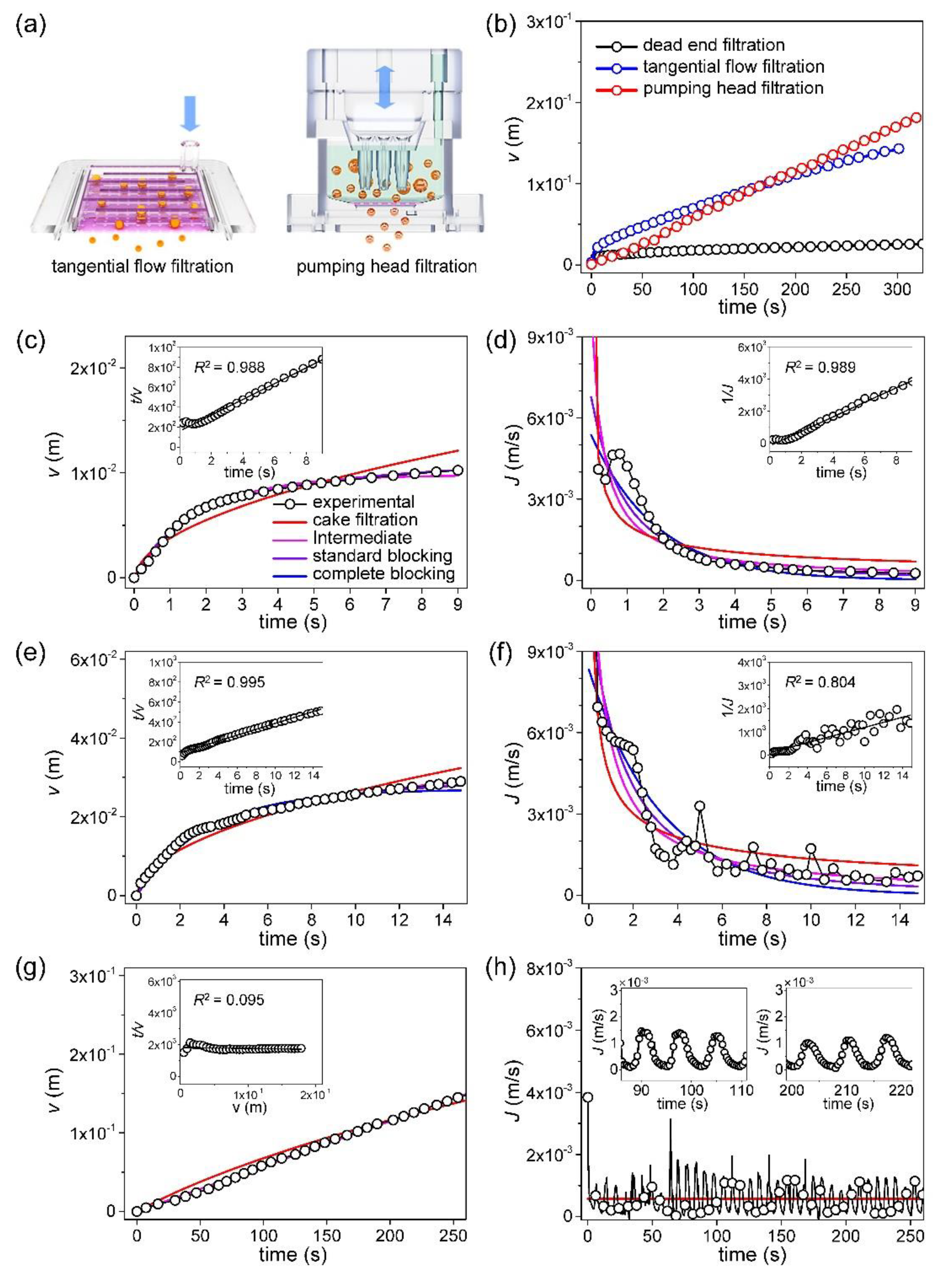 Preprints 79477 g005