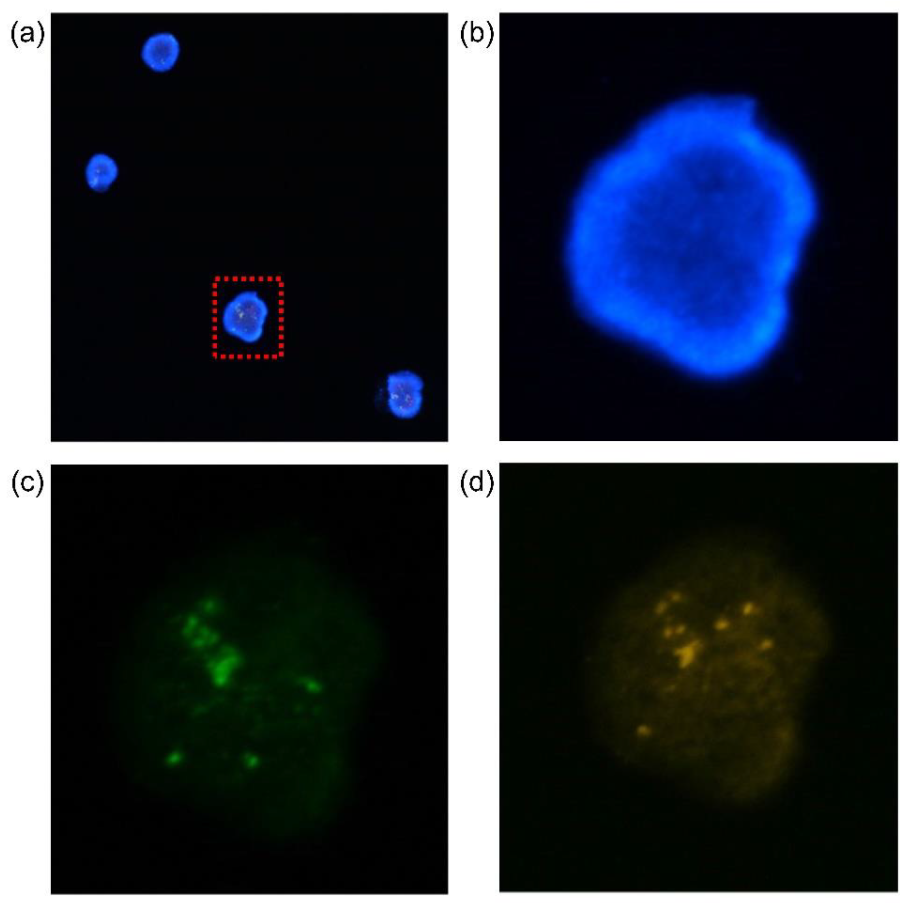 Preprints 79477 g006