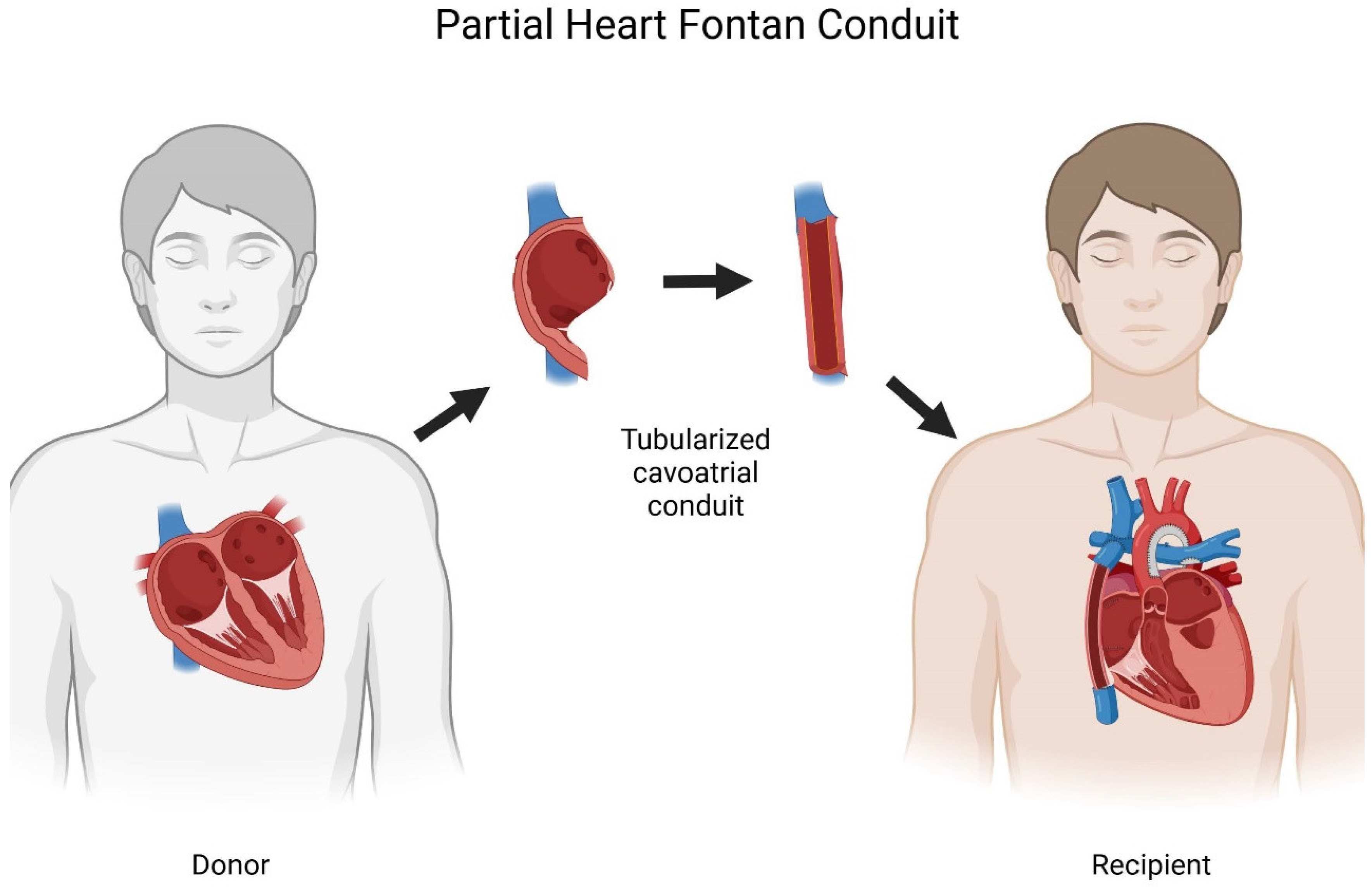 Preprints 143703 g001