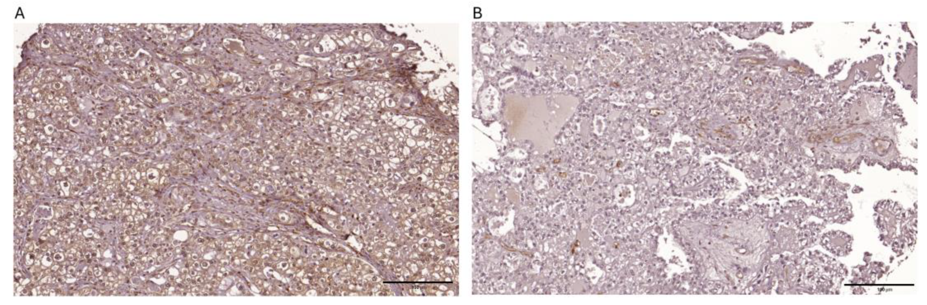 Preprints 155790 g001