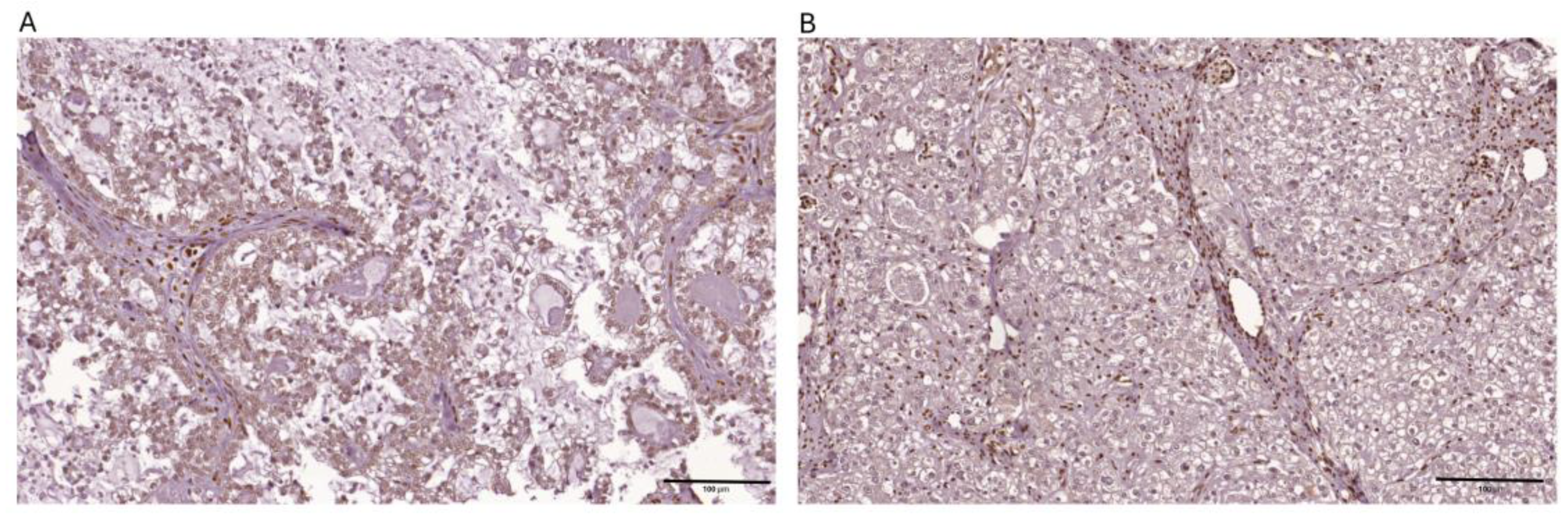 Preprints 155790 g002