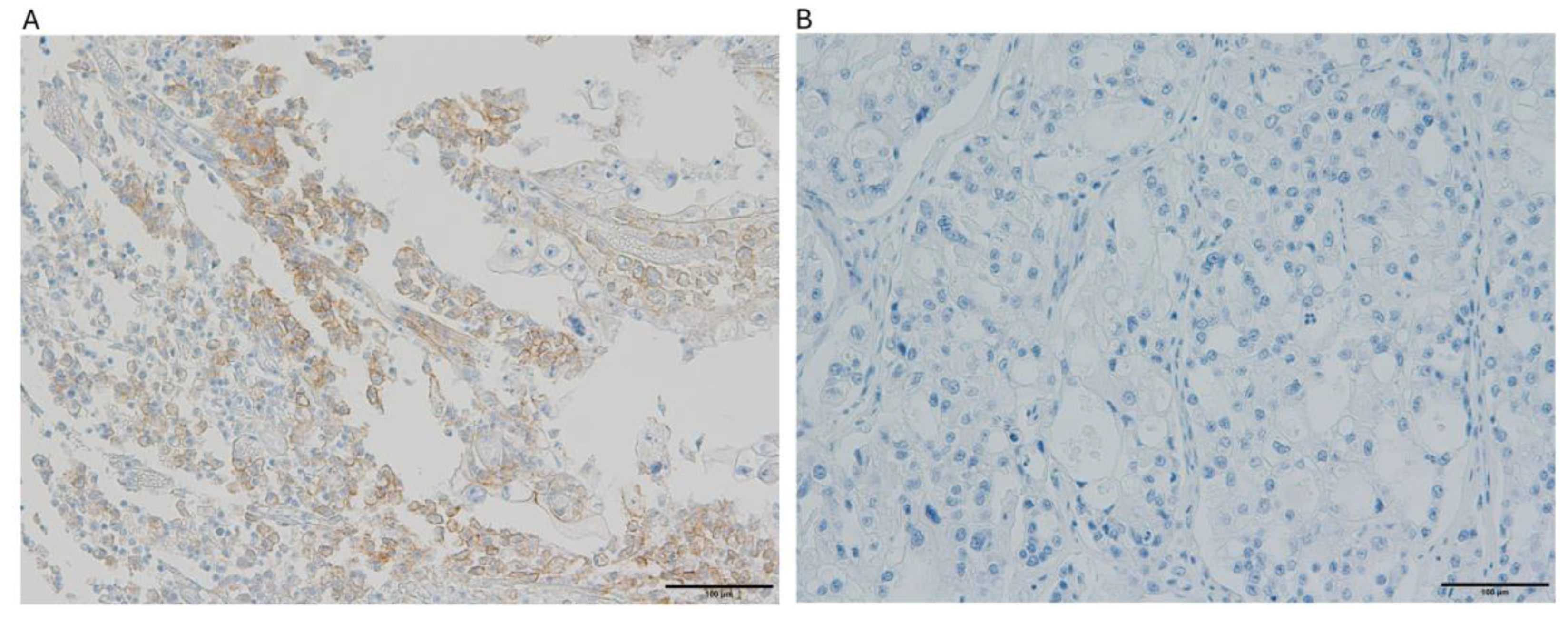 Preprints 155790 g003
