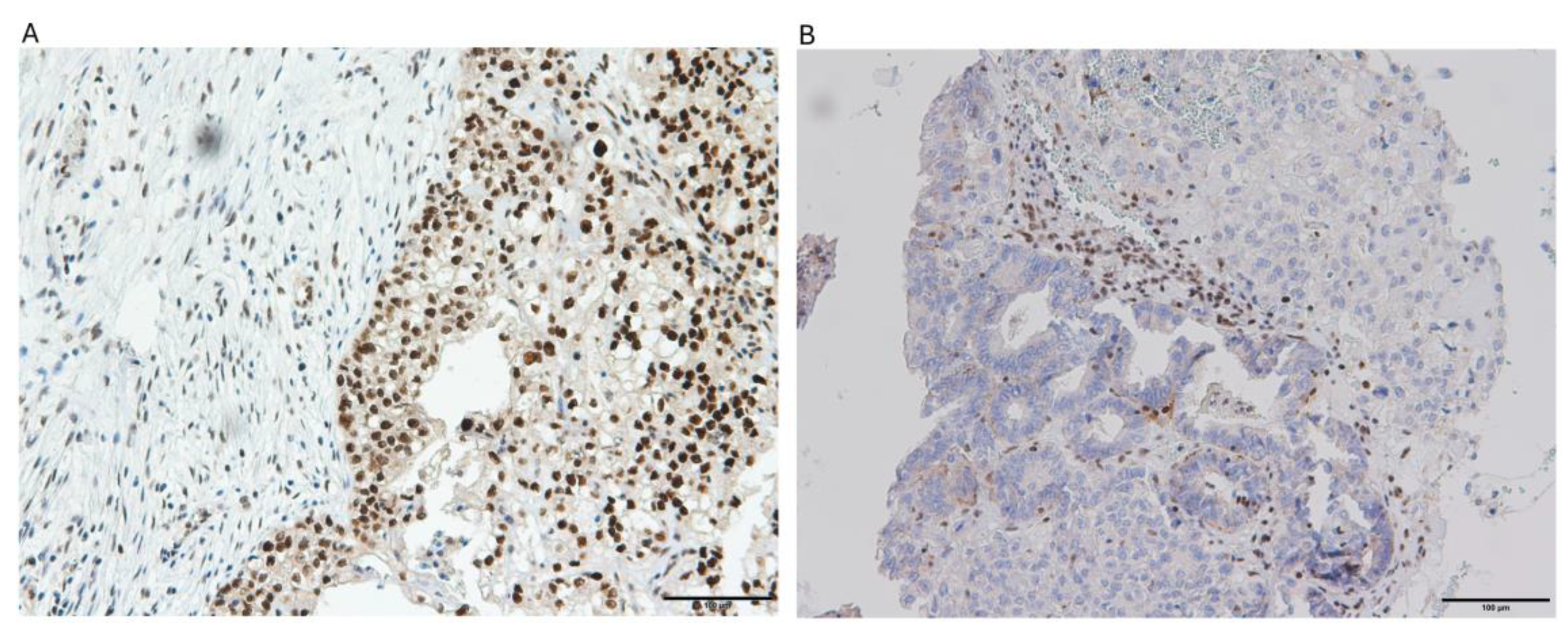 Preprints 155790 g004
