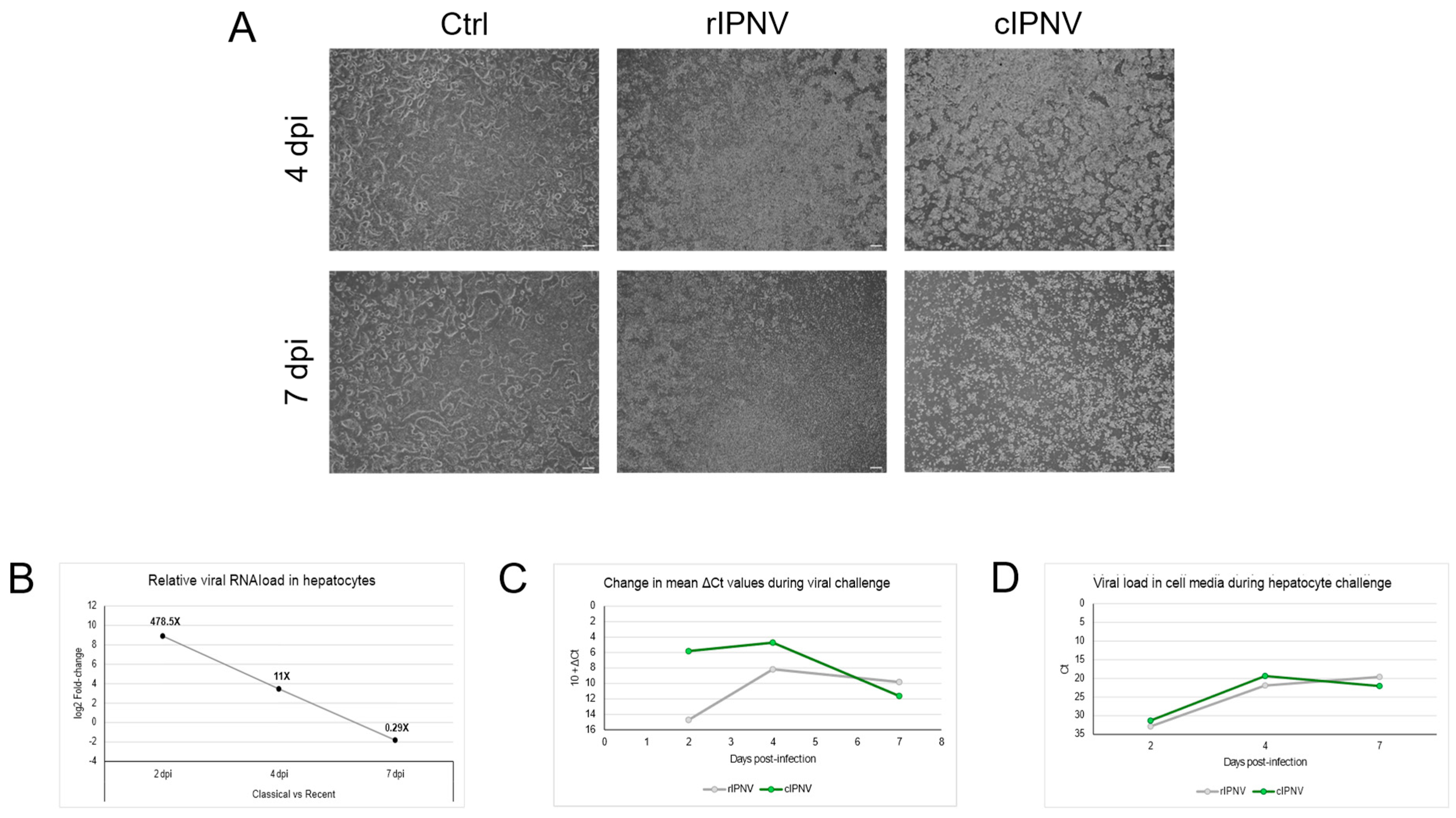 Preprints 181762 g006