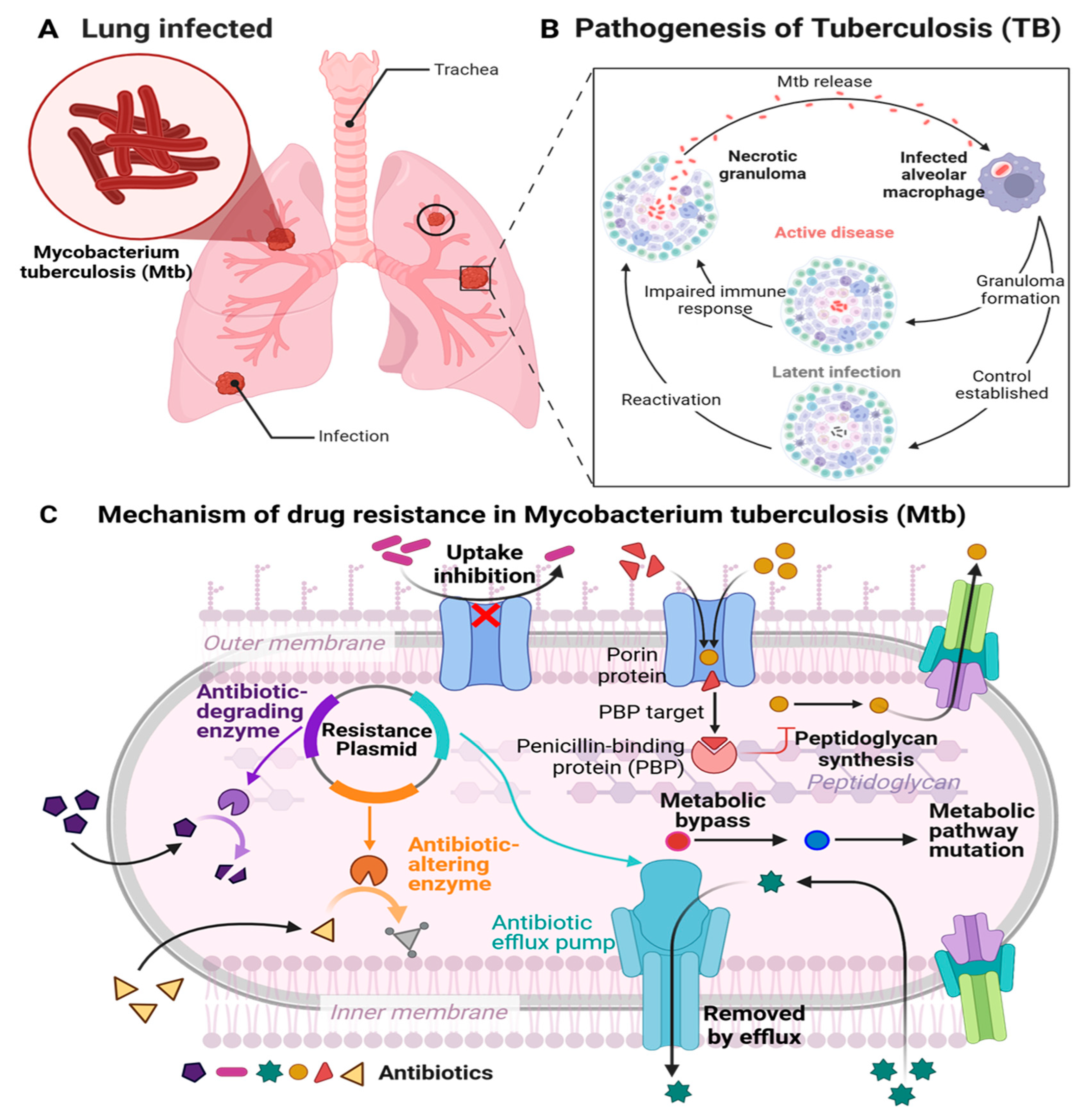 Preprints 150980 g001