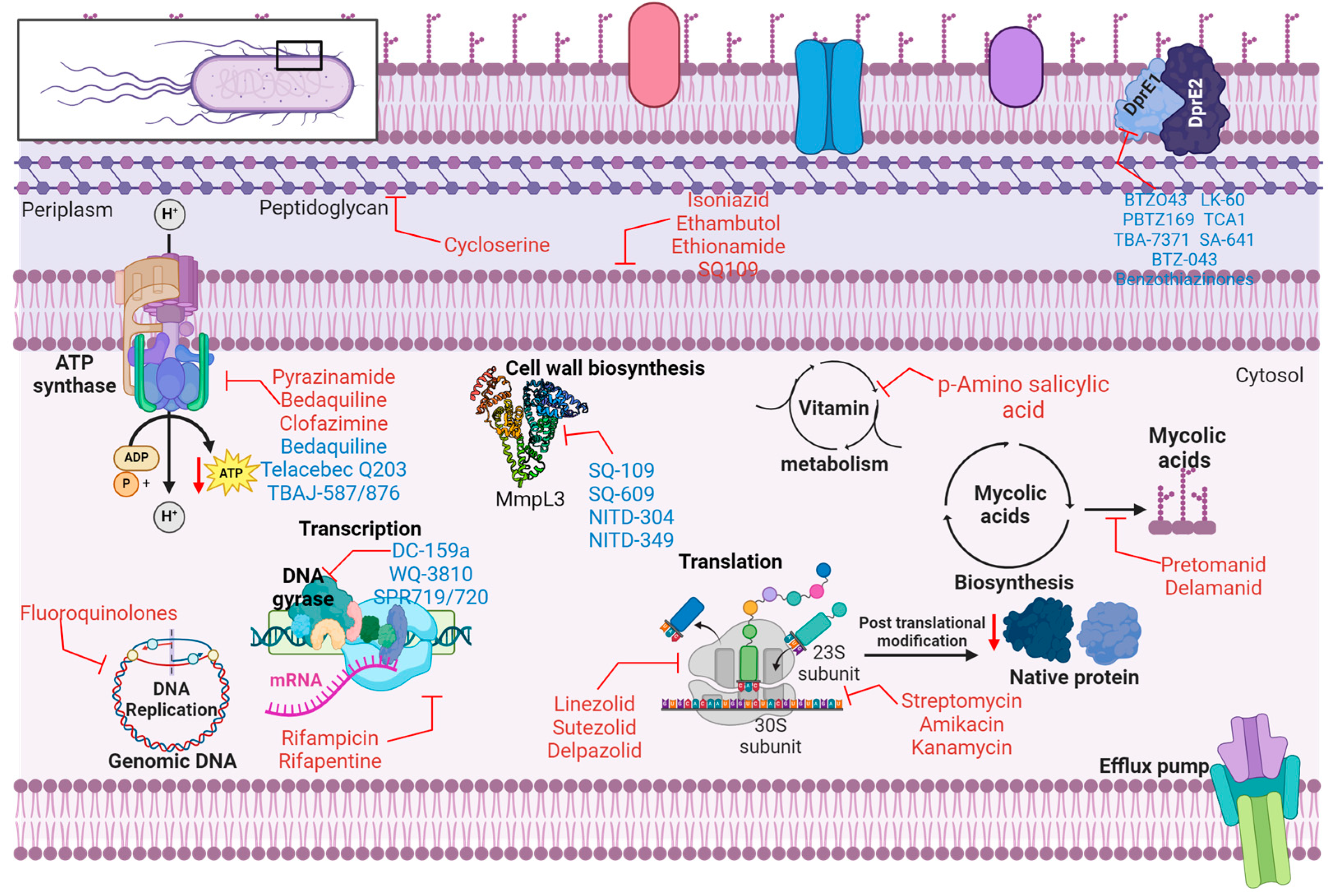 Preprints 150980 g002