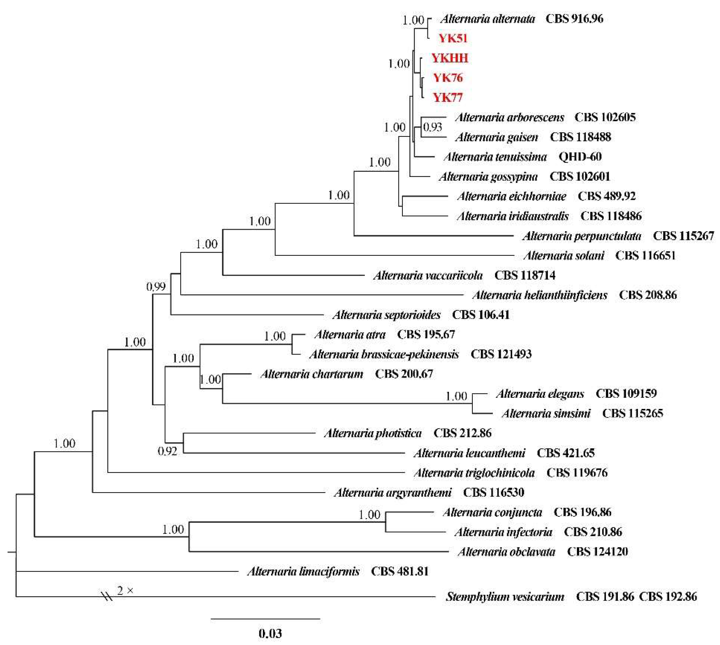Preprints 150722 g002
