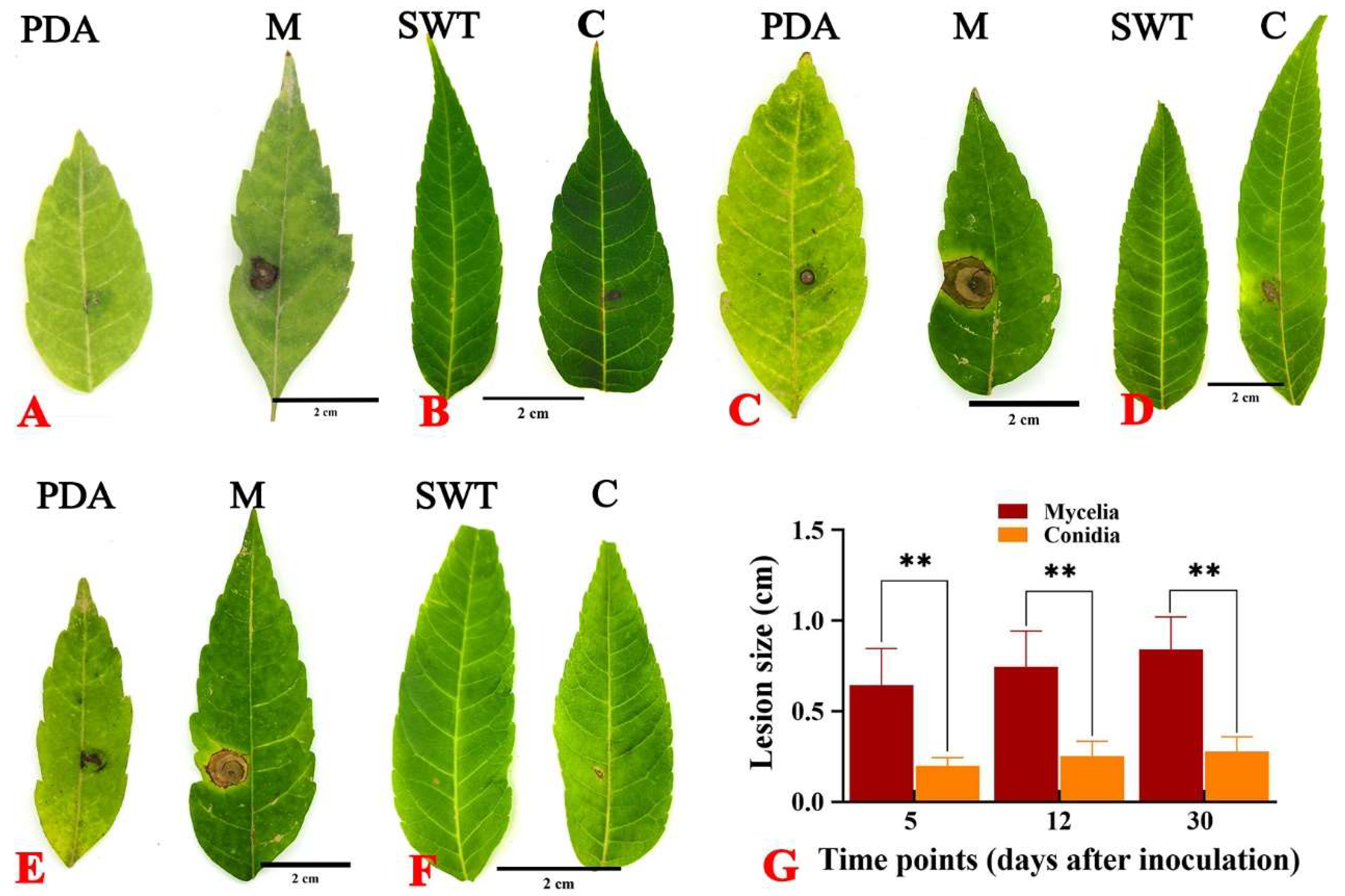 Preprints 150722 g003