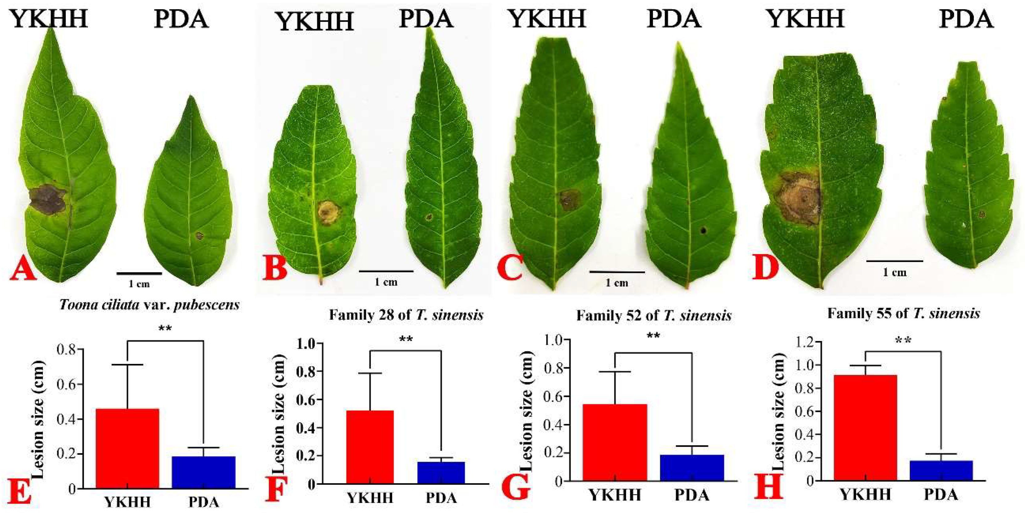 Preprints 150722 g004