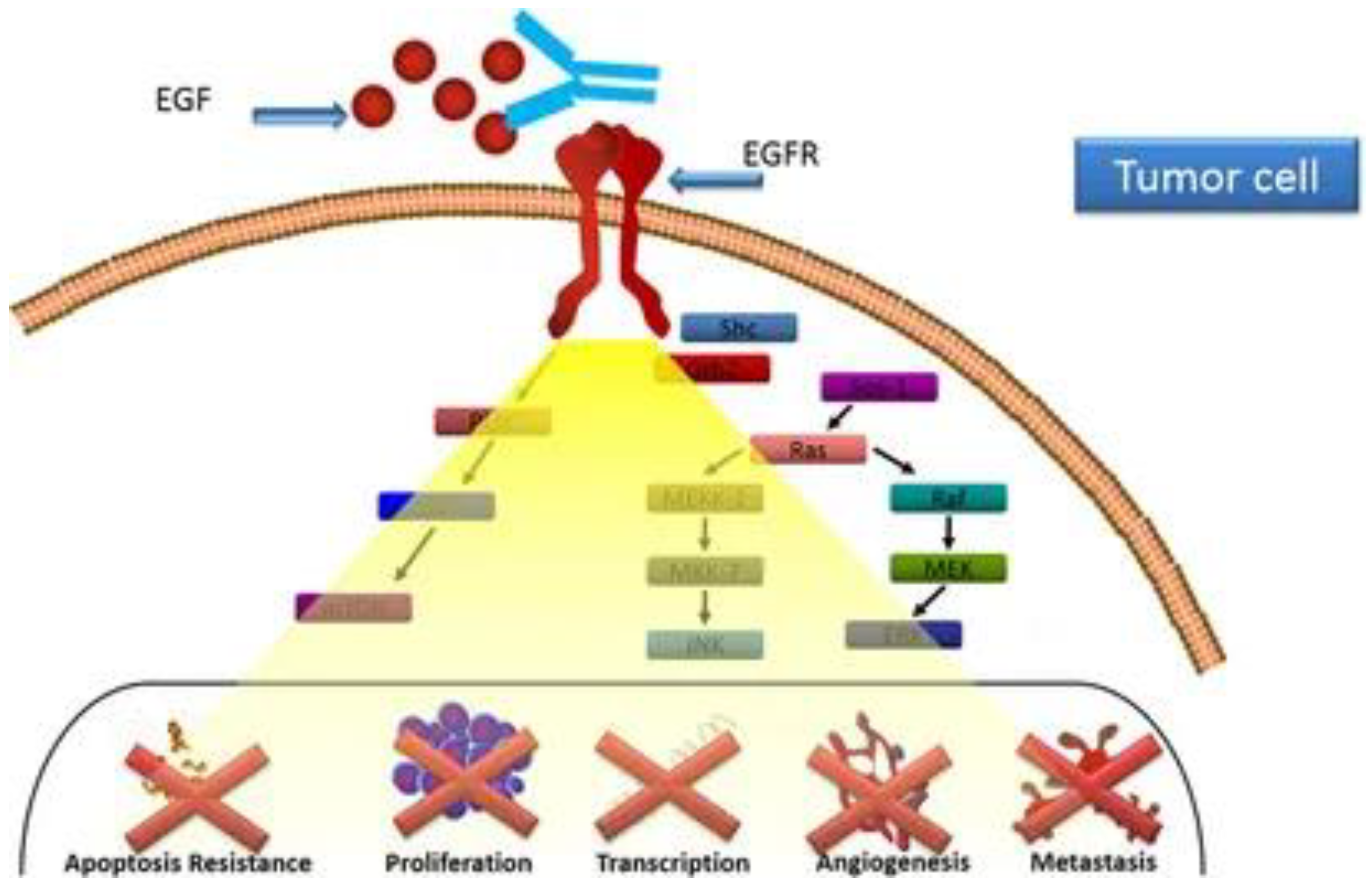 Preprints 121785 g001