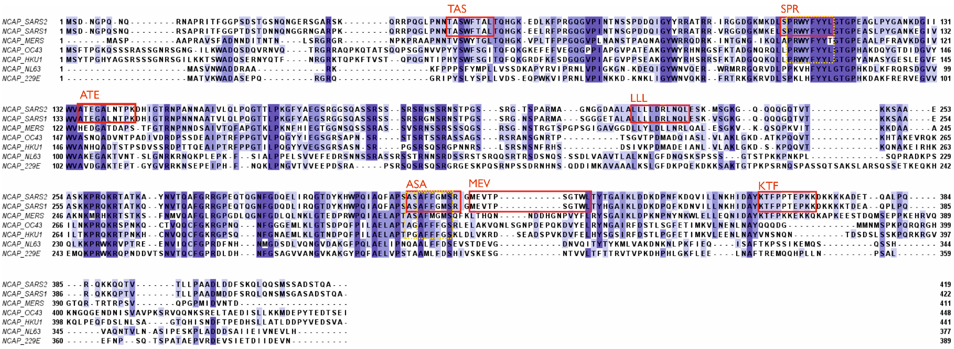 Preprints 98270 g003