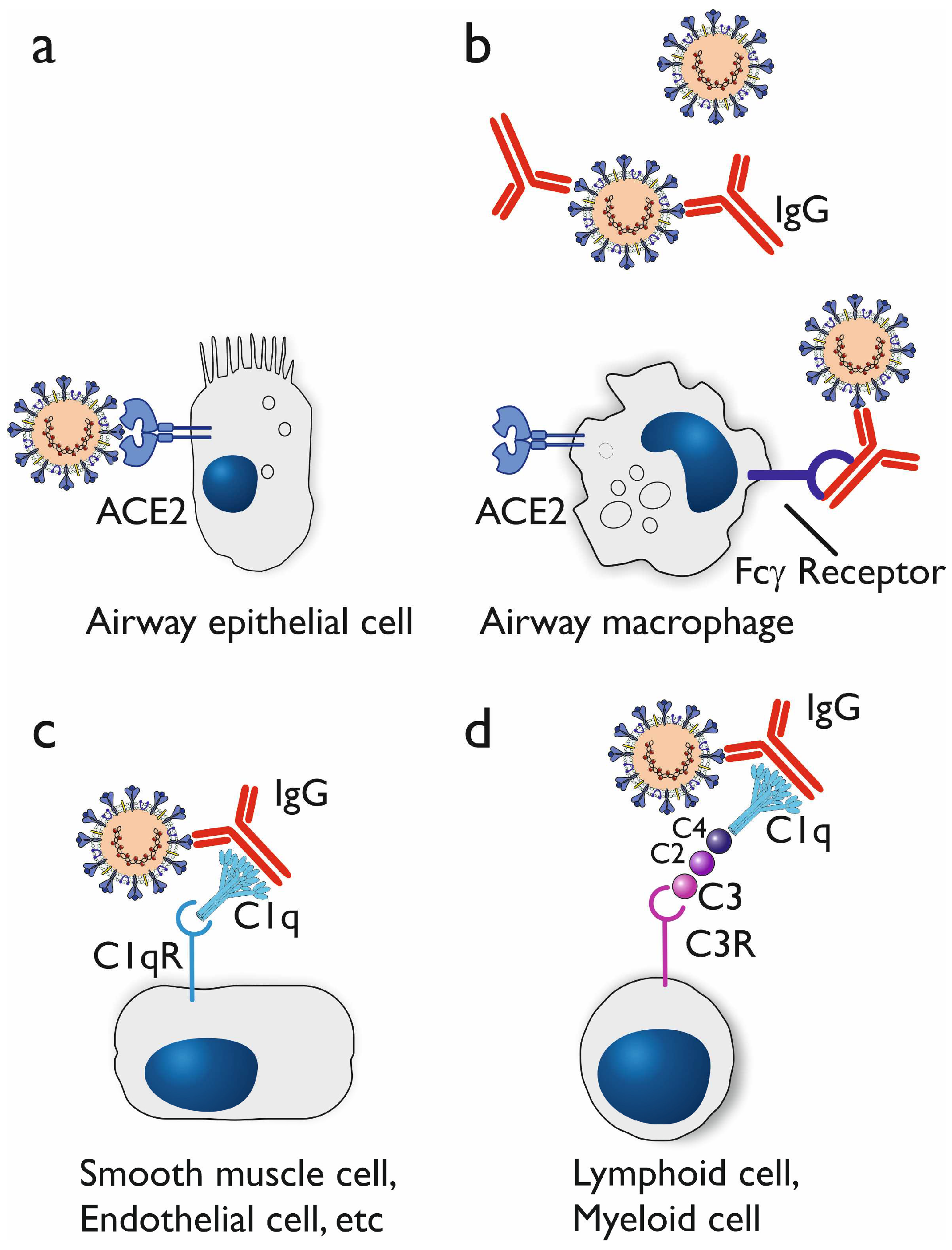 Preprints 98270 g005