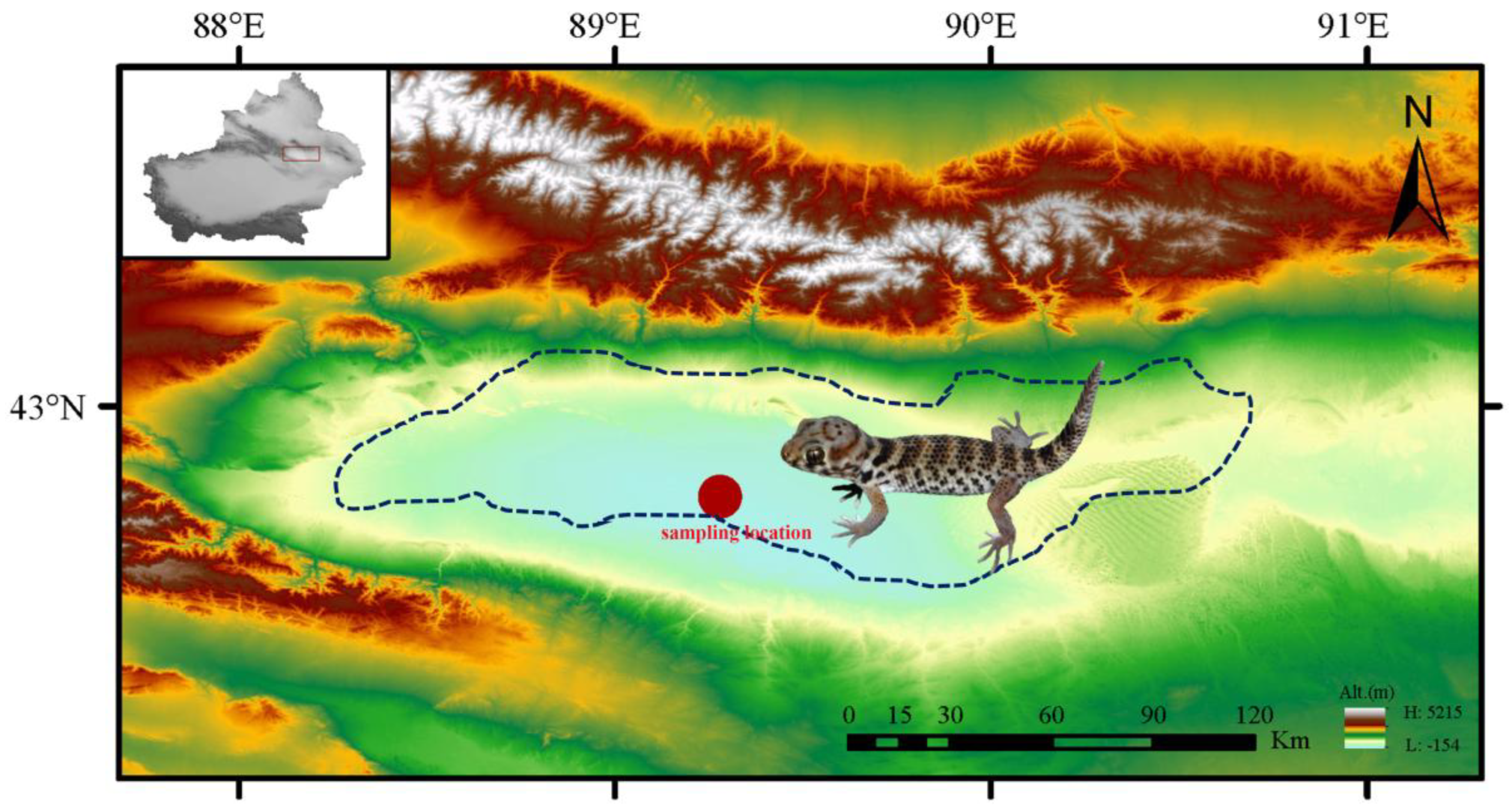 Preprints 176116 g001
