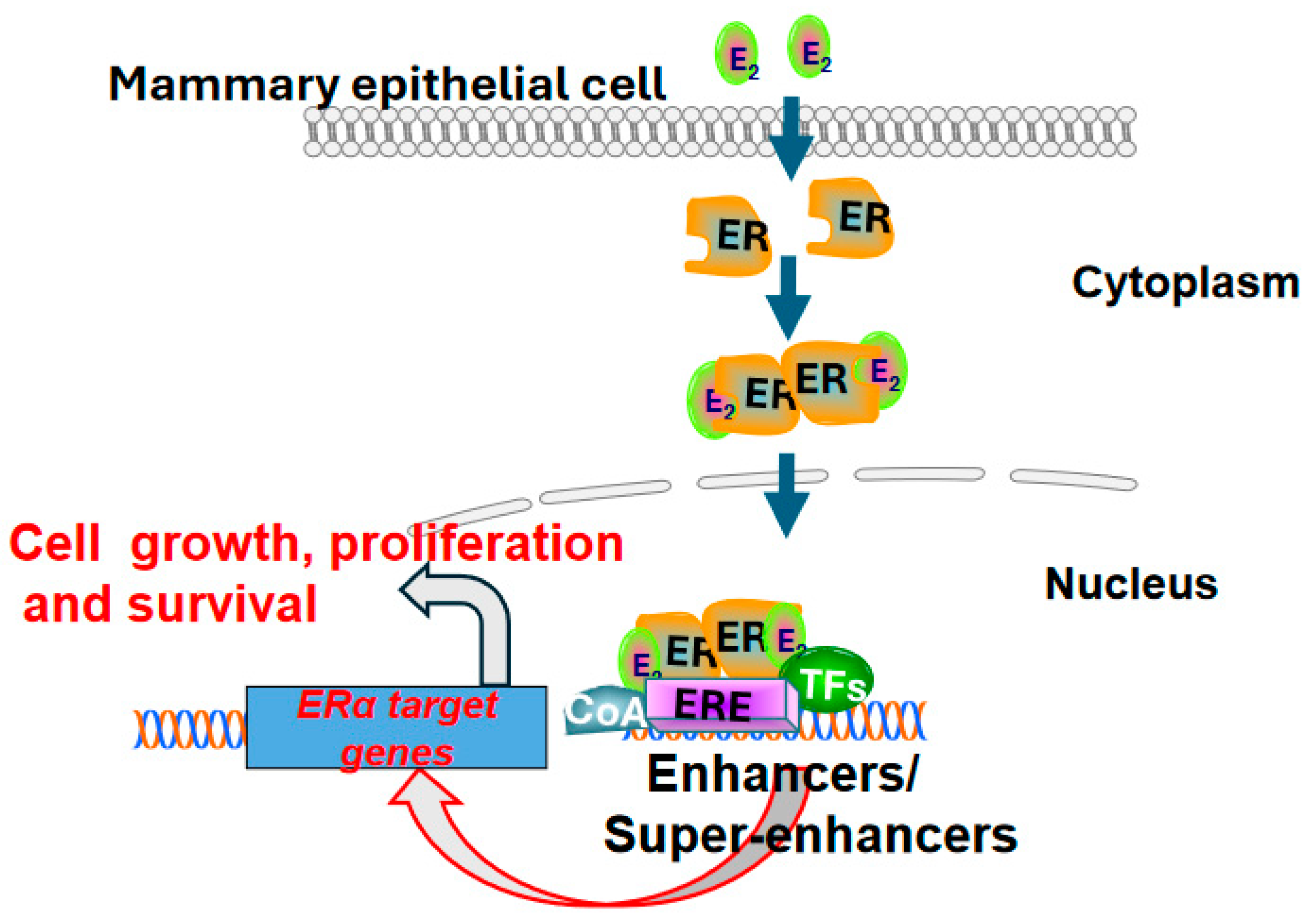 Preprints 138377 g001