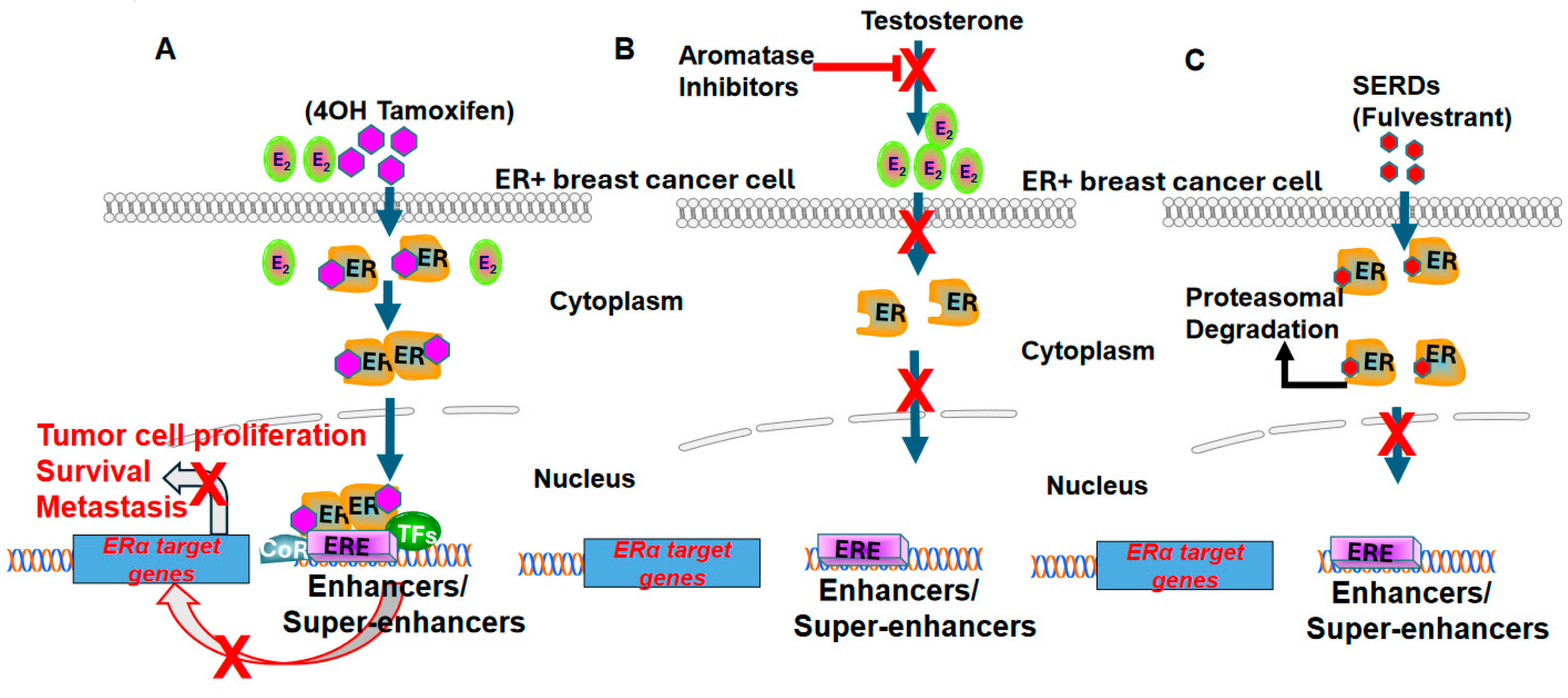 Preprints 138377 g003