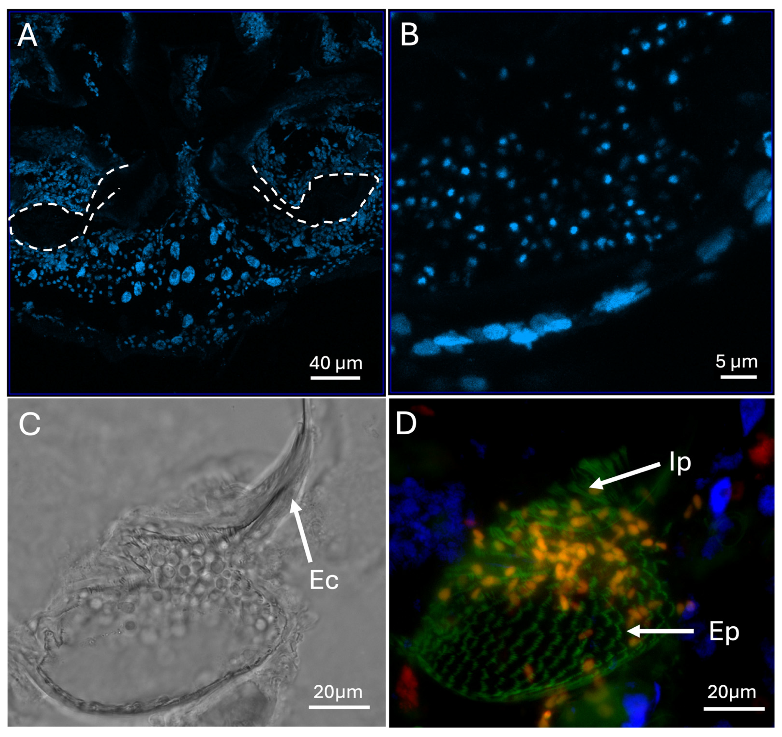 Preprints 159293 g007
