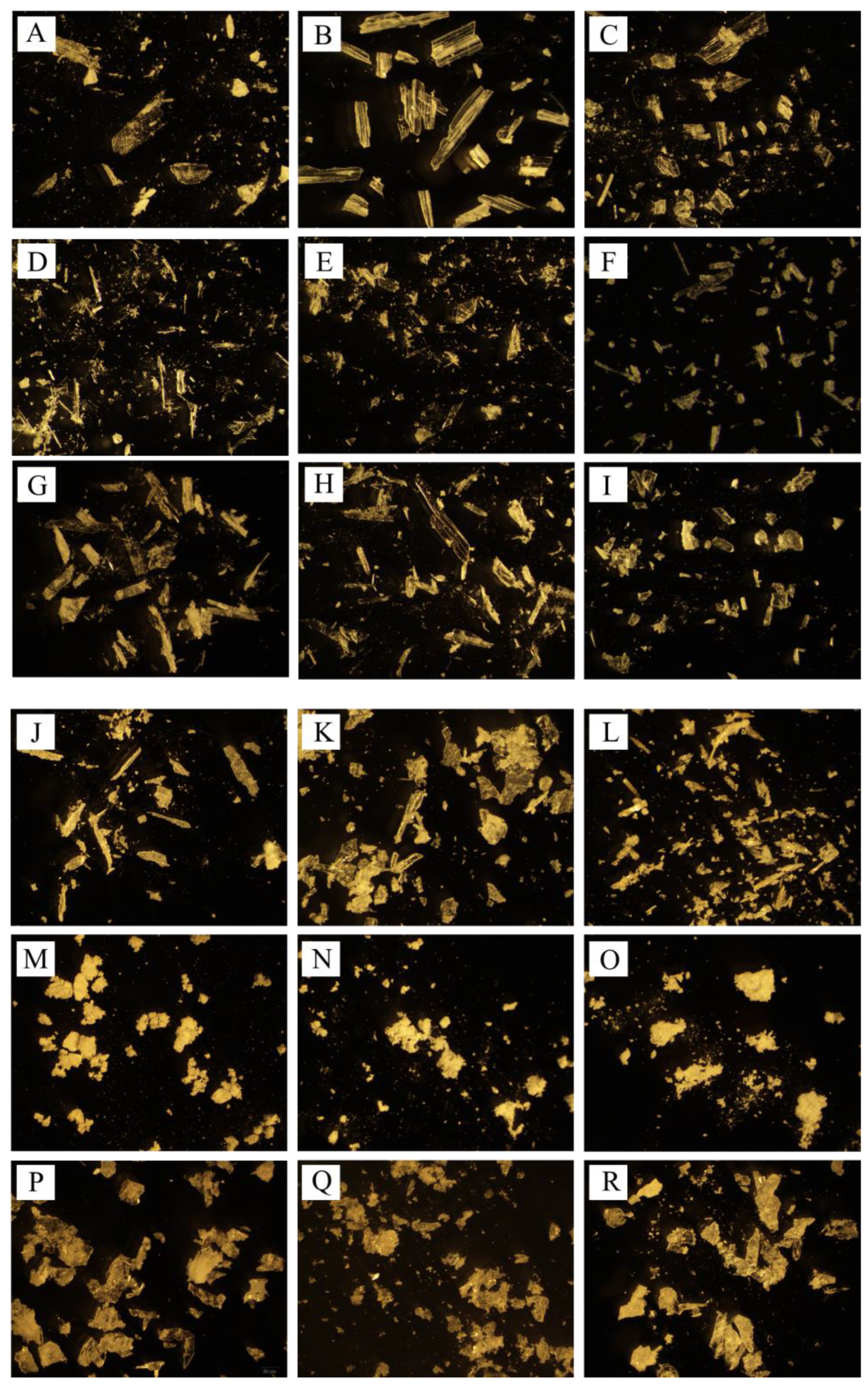 Preprints 174624 g007
