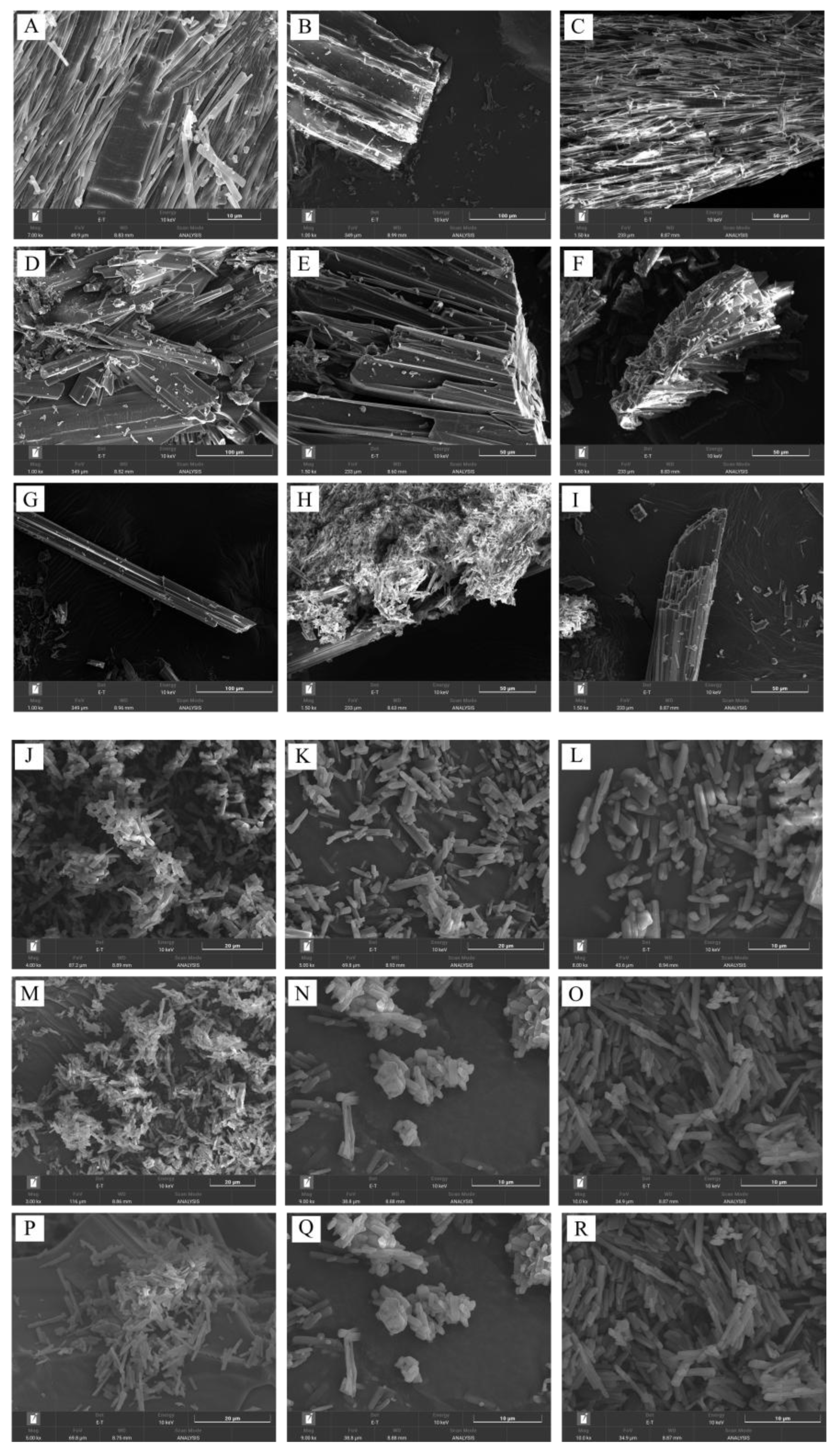 Preprints 174624 g008