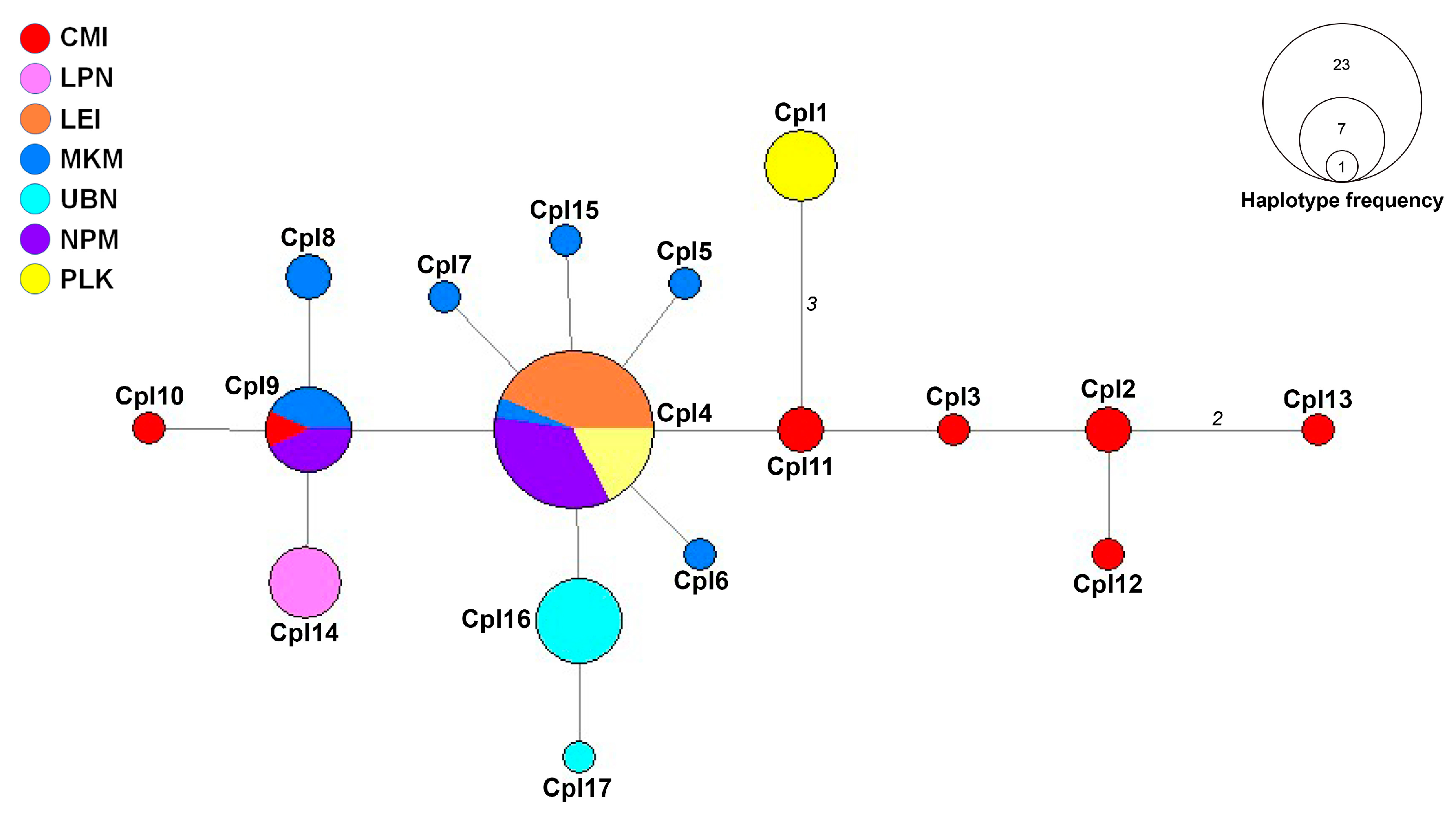 Preprints 158068 g002