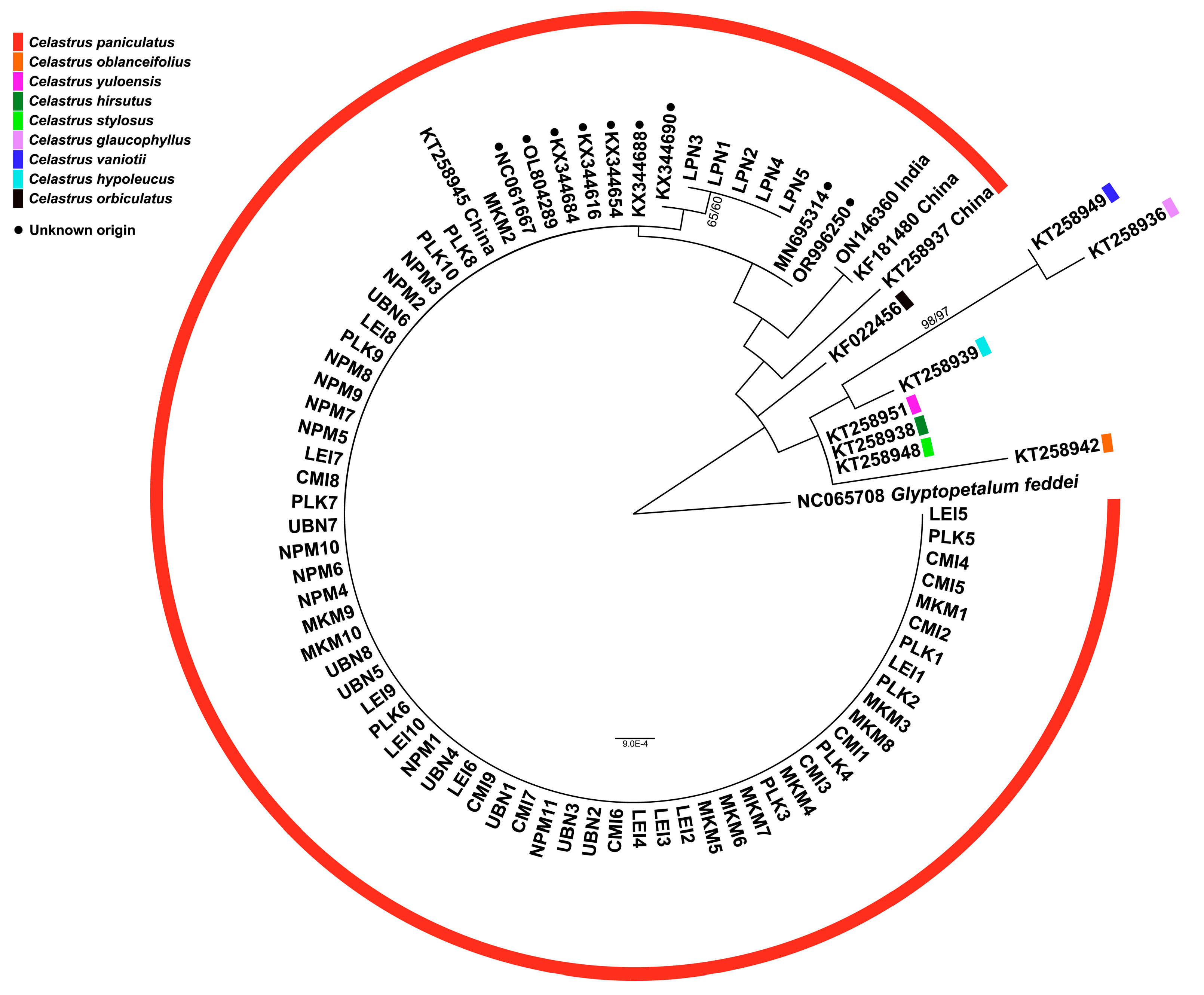 Preprints 158068 g004