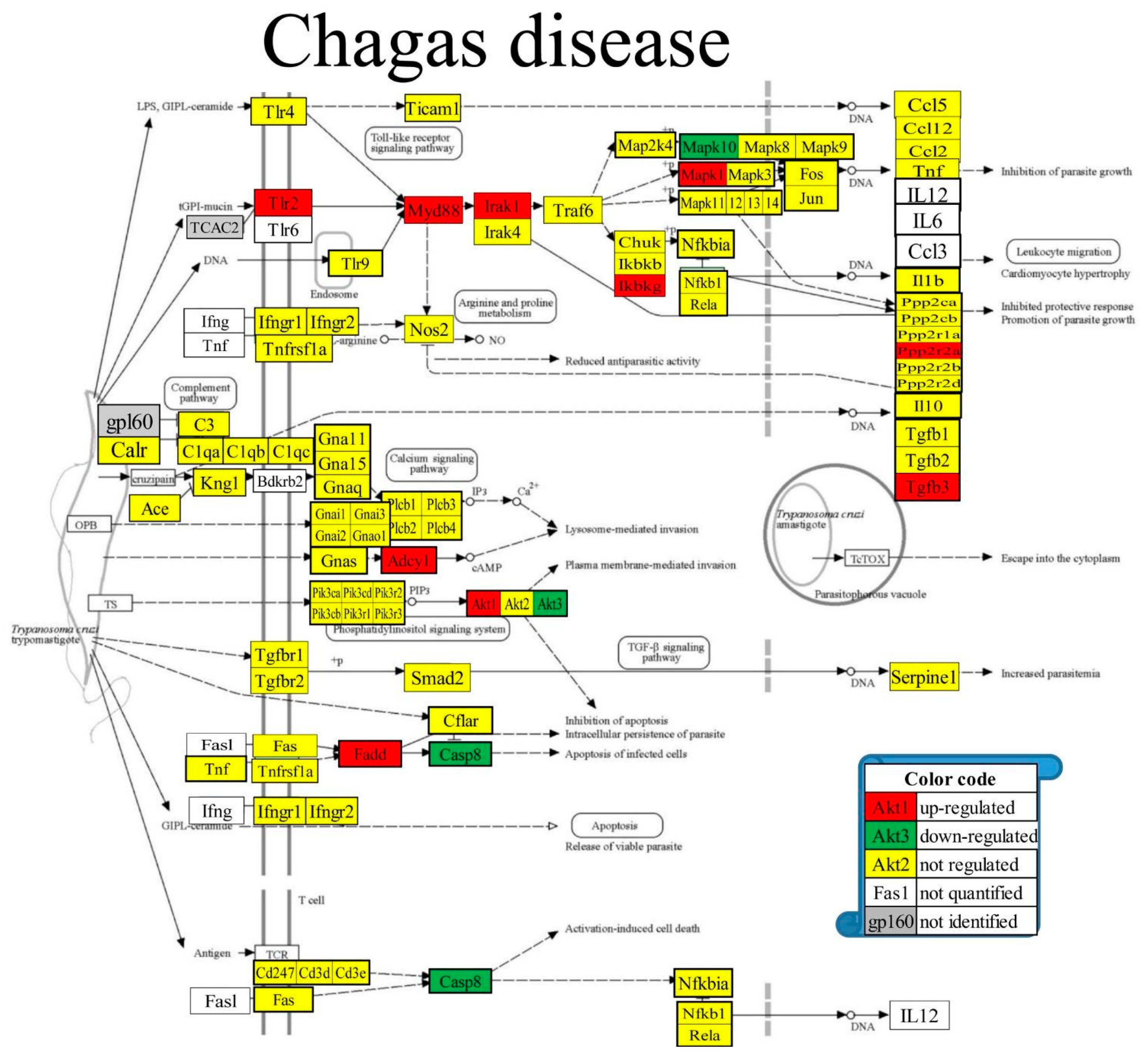 Preprints 97444 g006