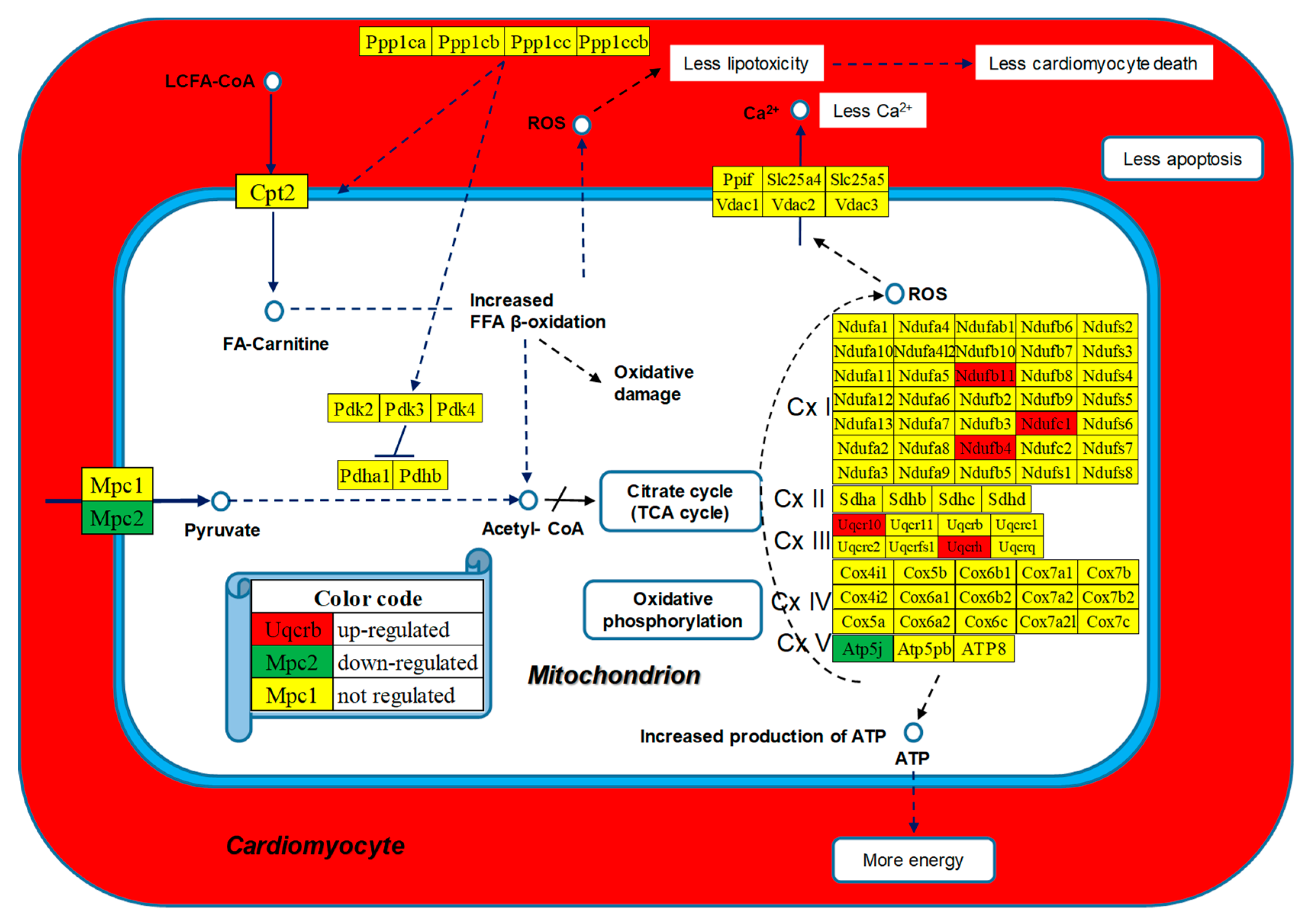 Preprints 97444 g007