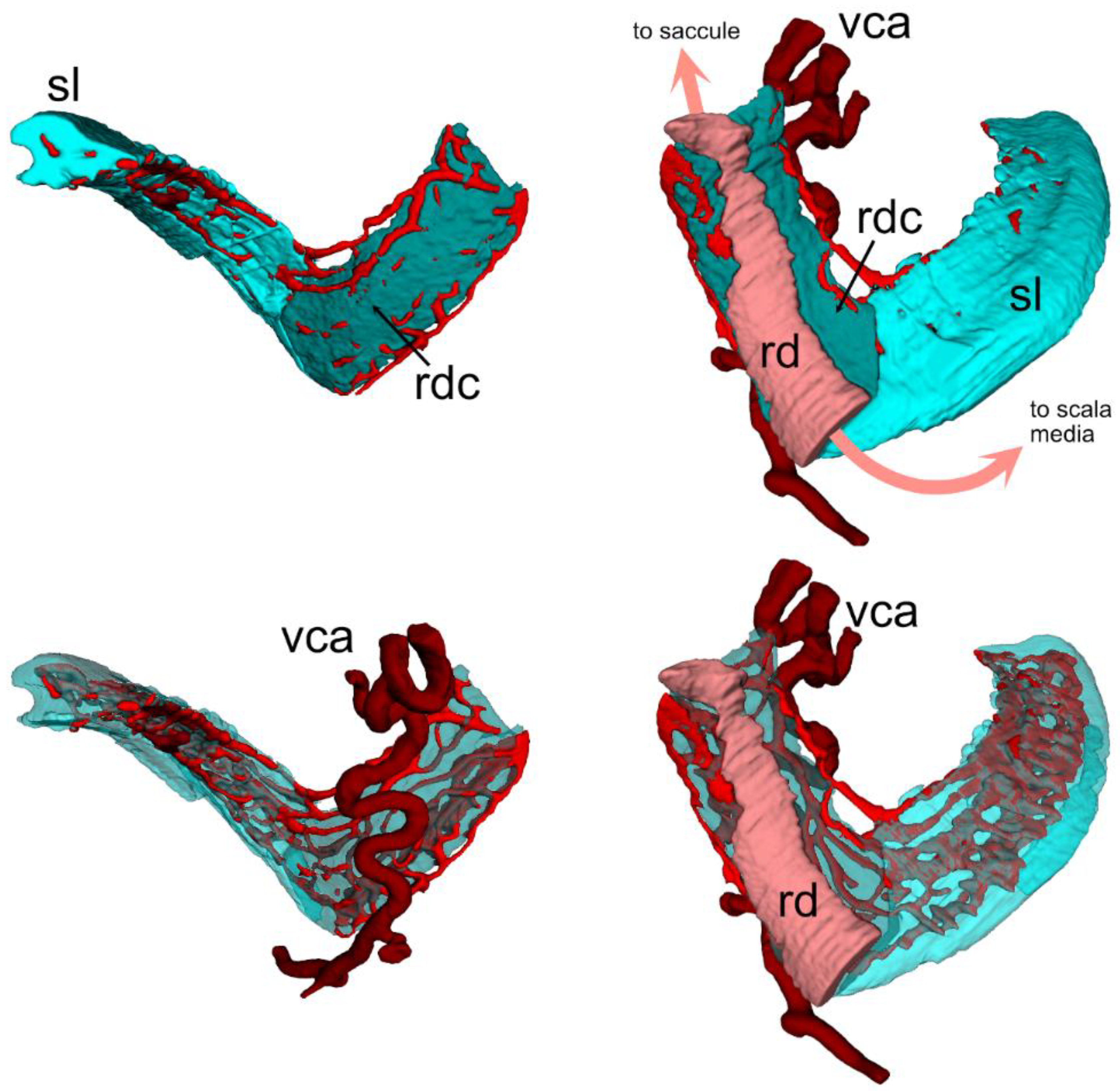 Preprints 172010 g002