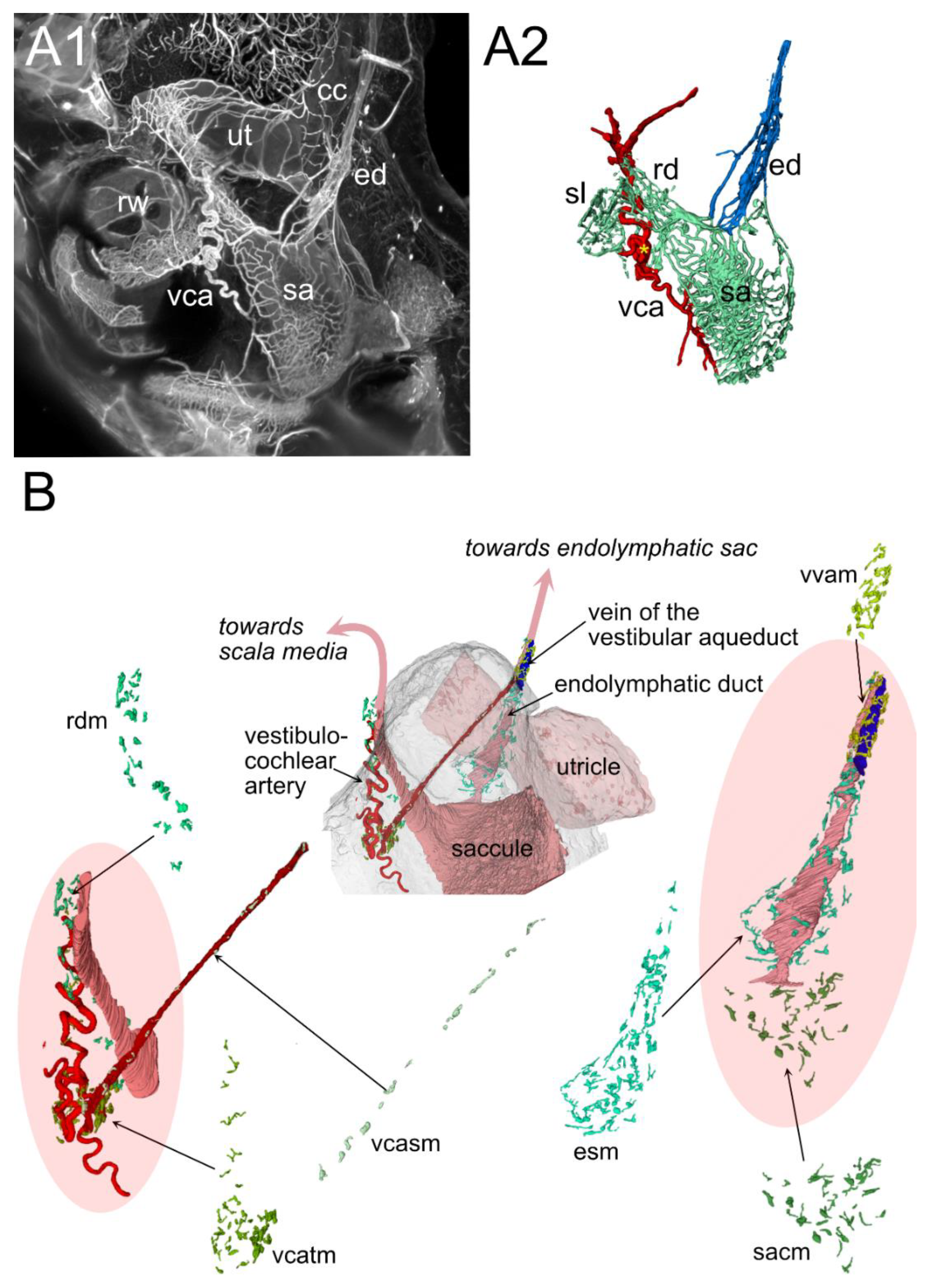 Preprints 172010 g003
