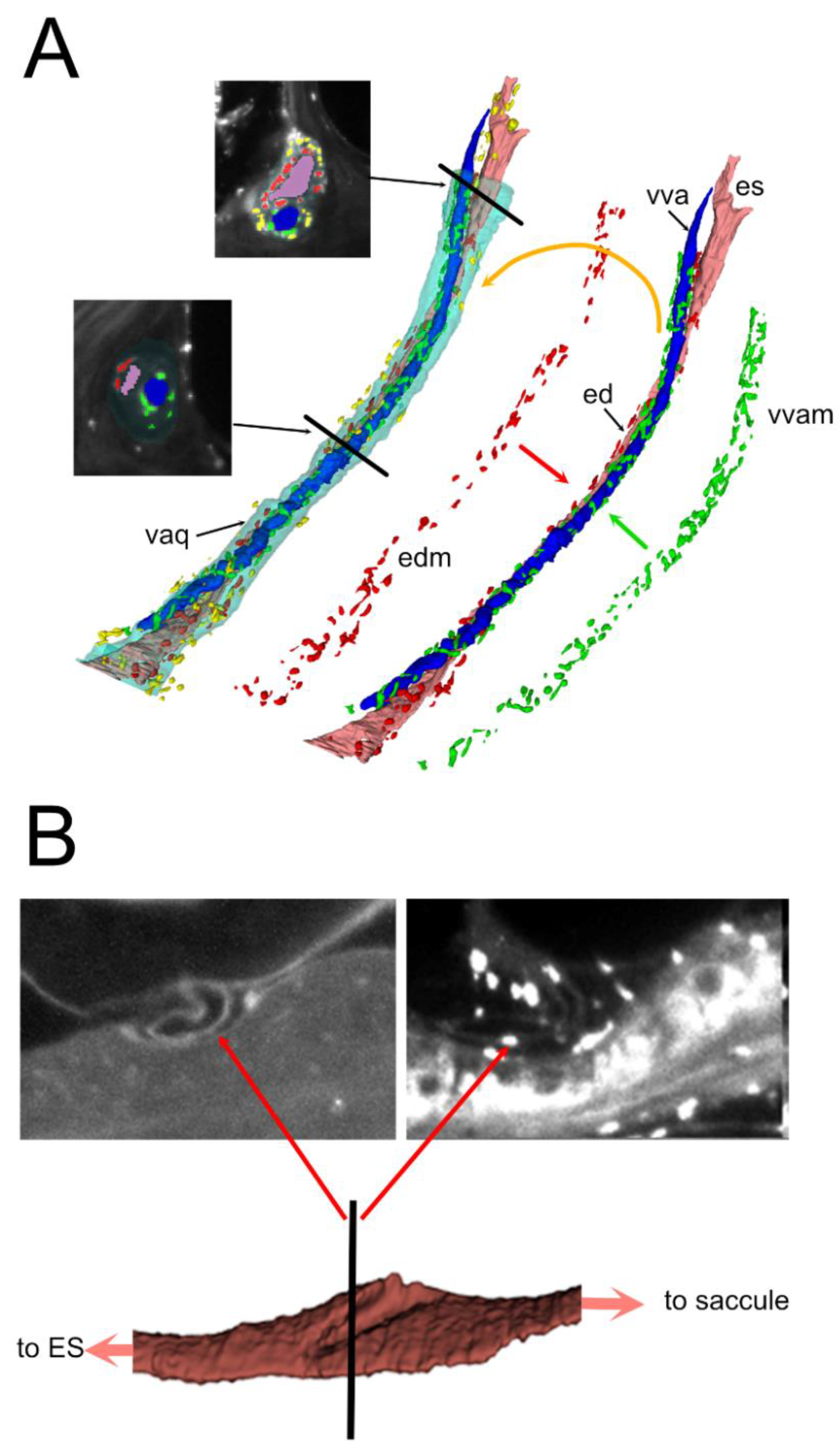 Preprints 172010 g004