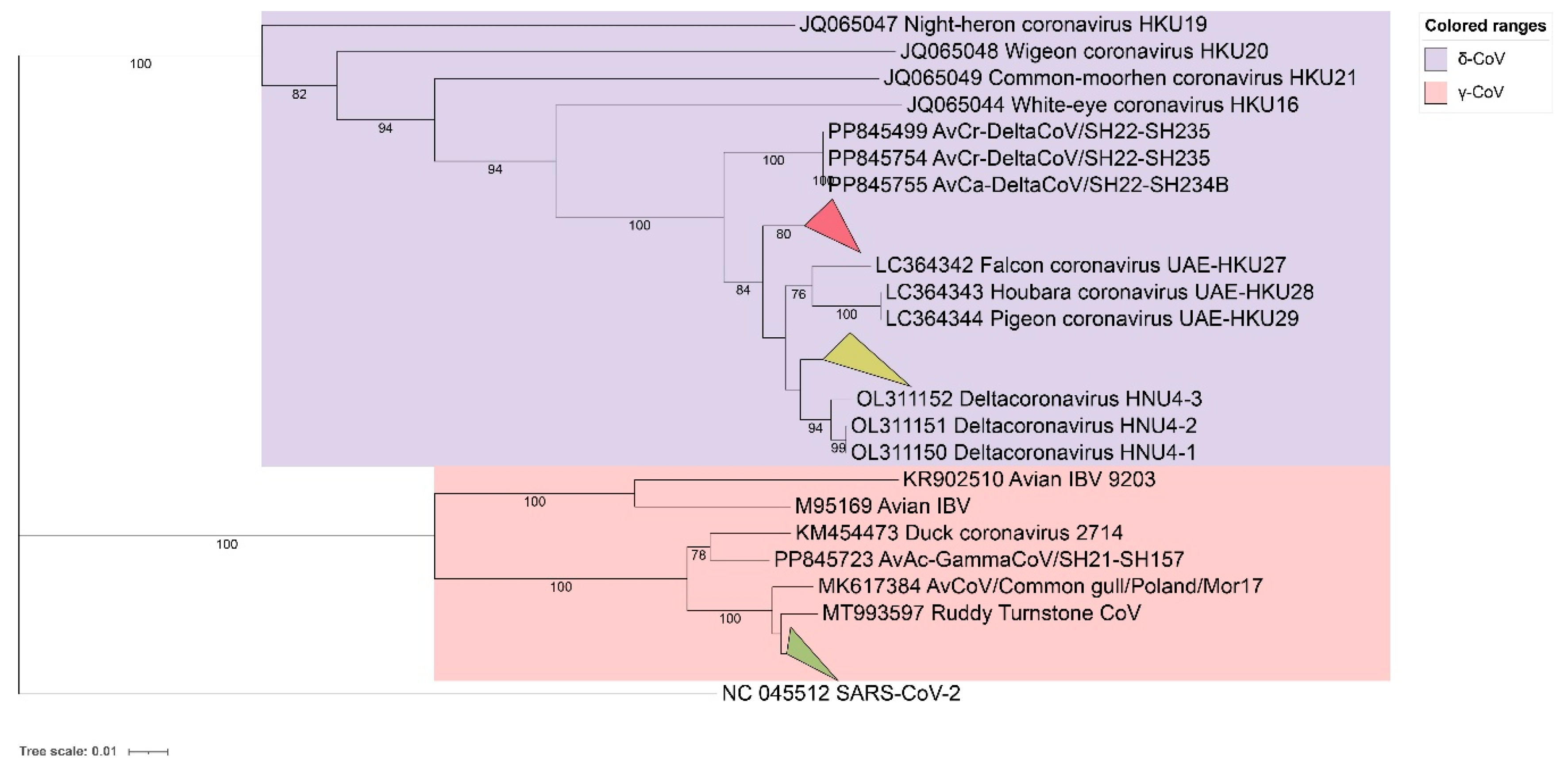 Preprints 147743 g001