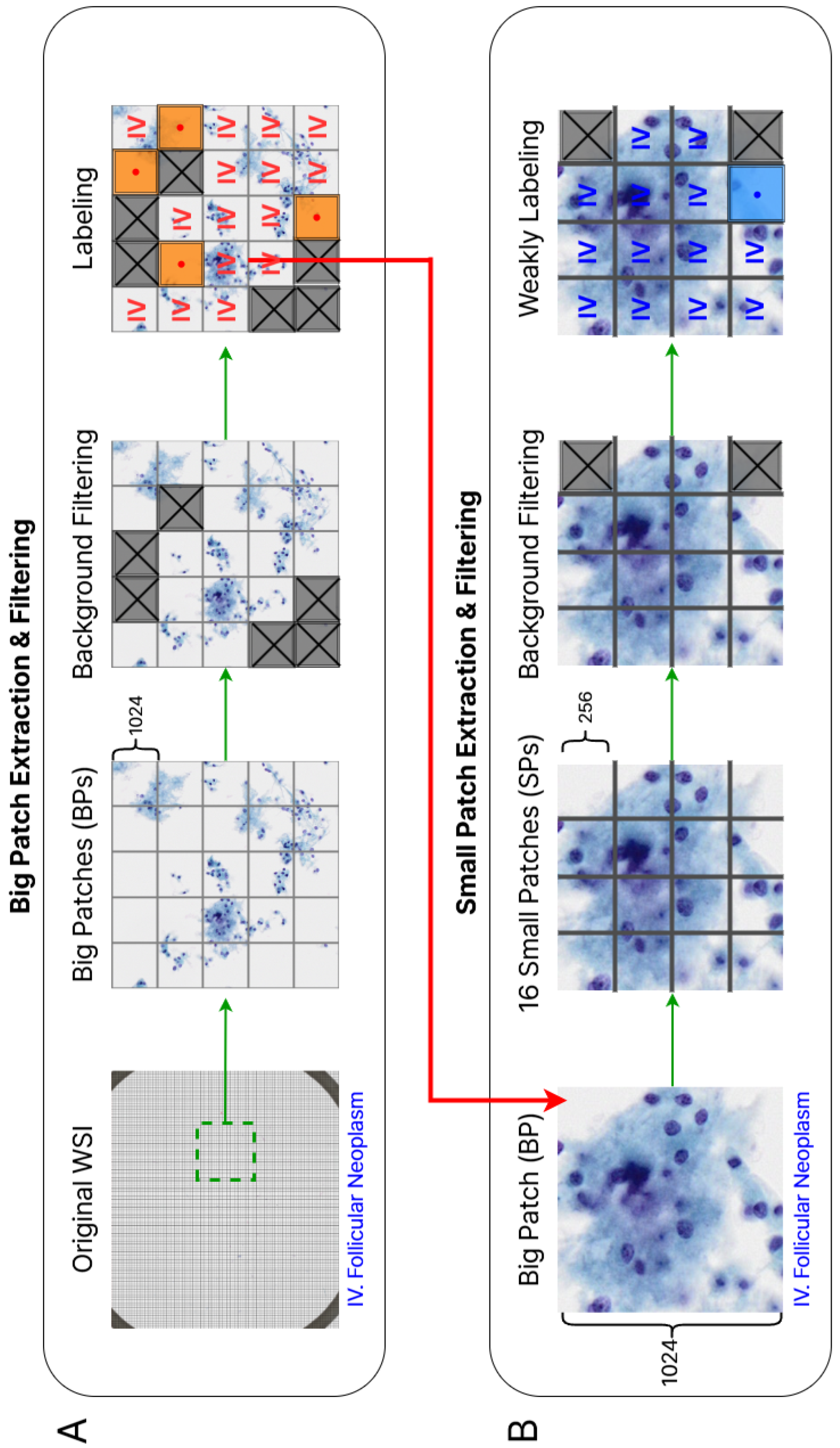 Preprints 149721 g001