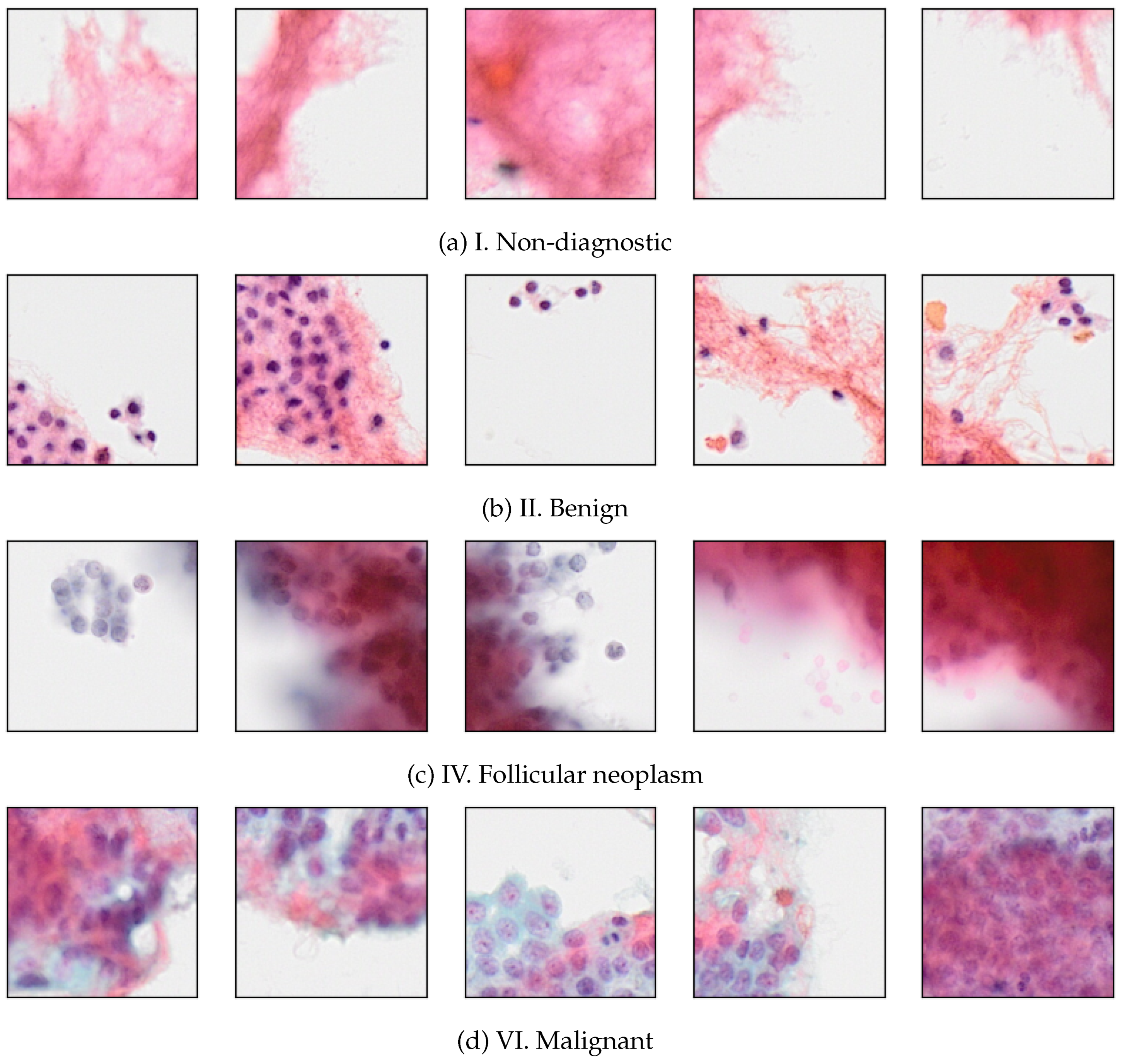 Preprints 149721 g002