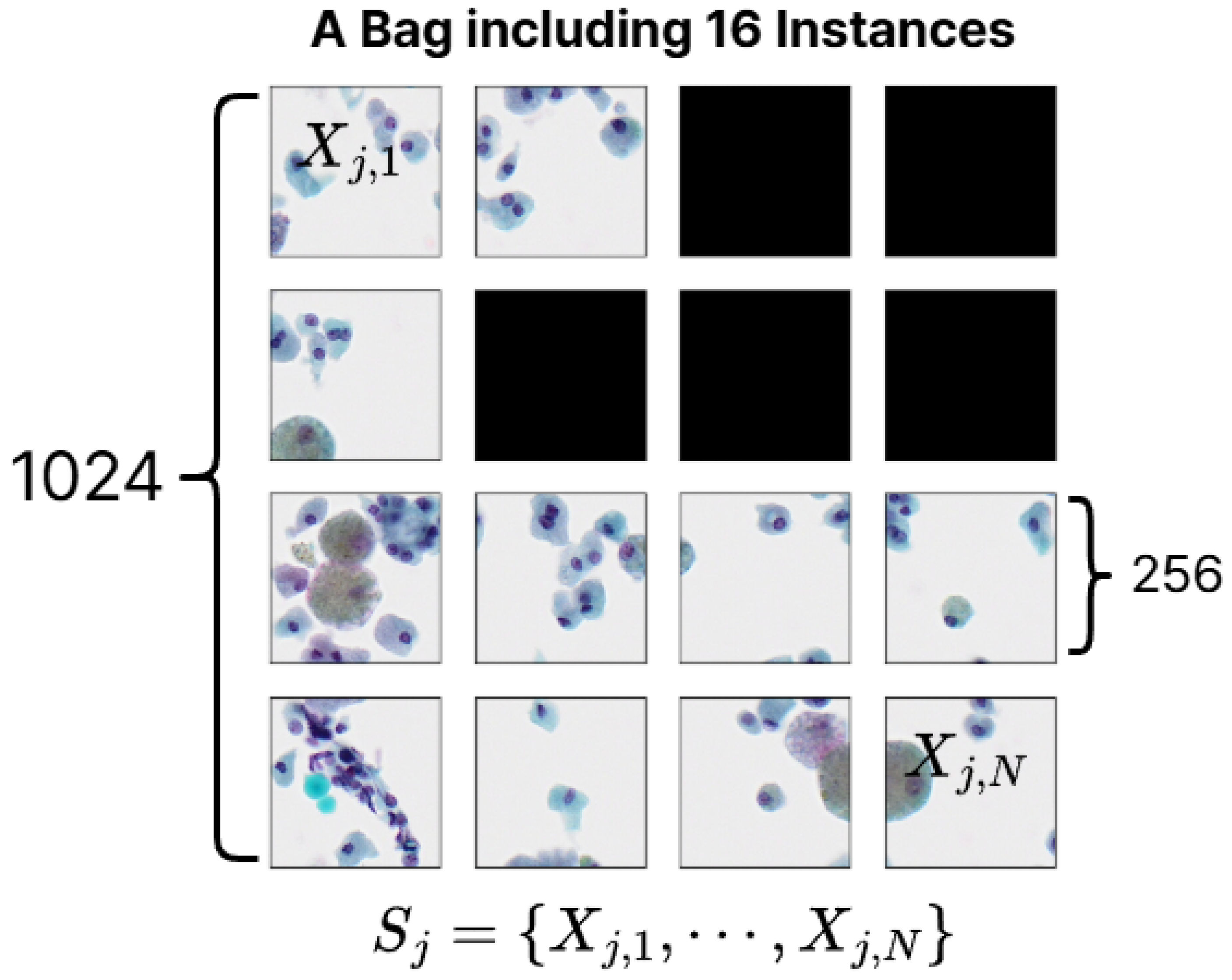 Preprints 149721 g004