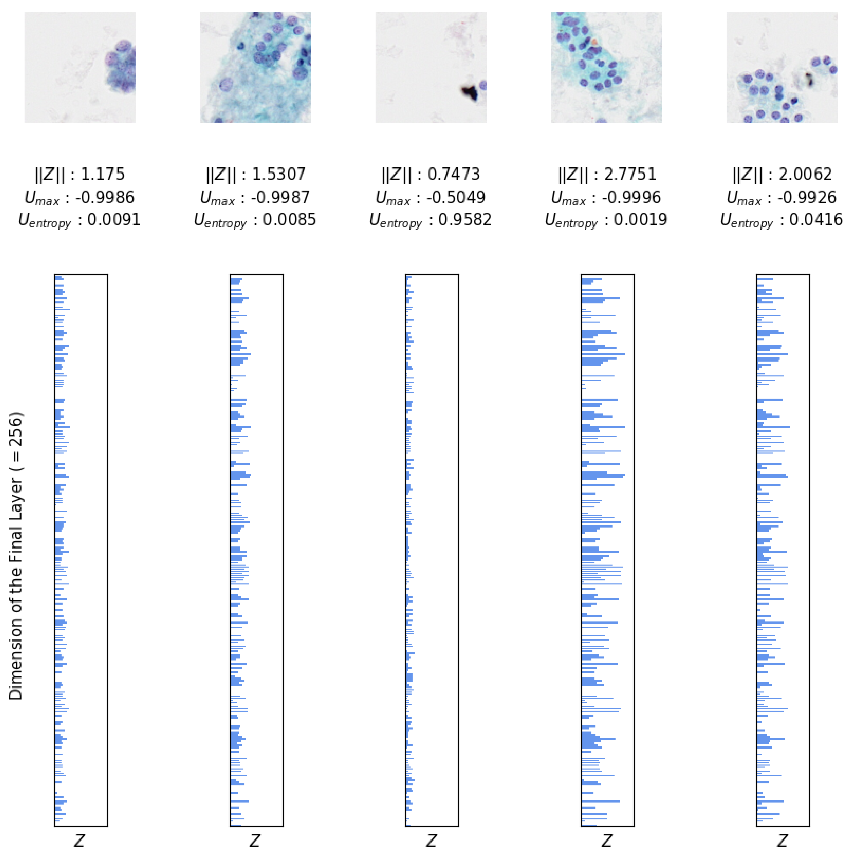 Preprints 149721 g011