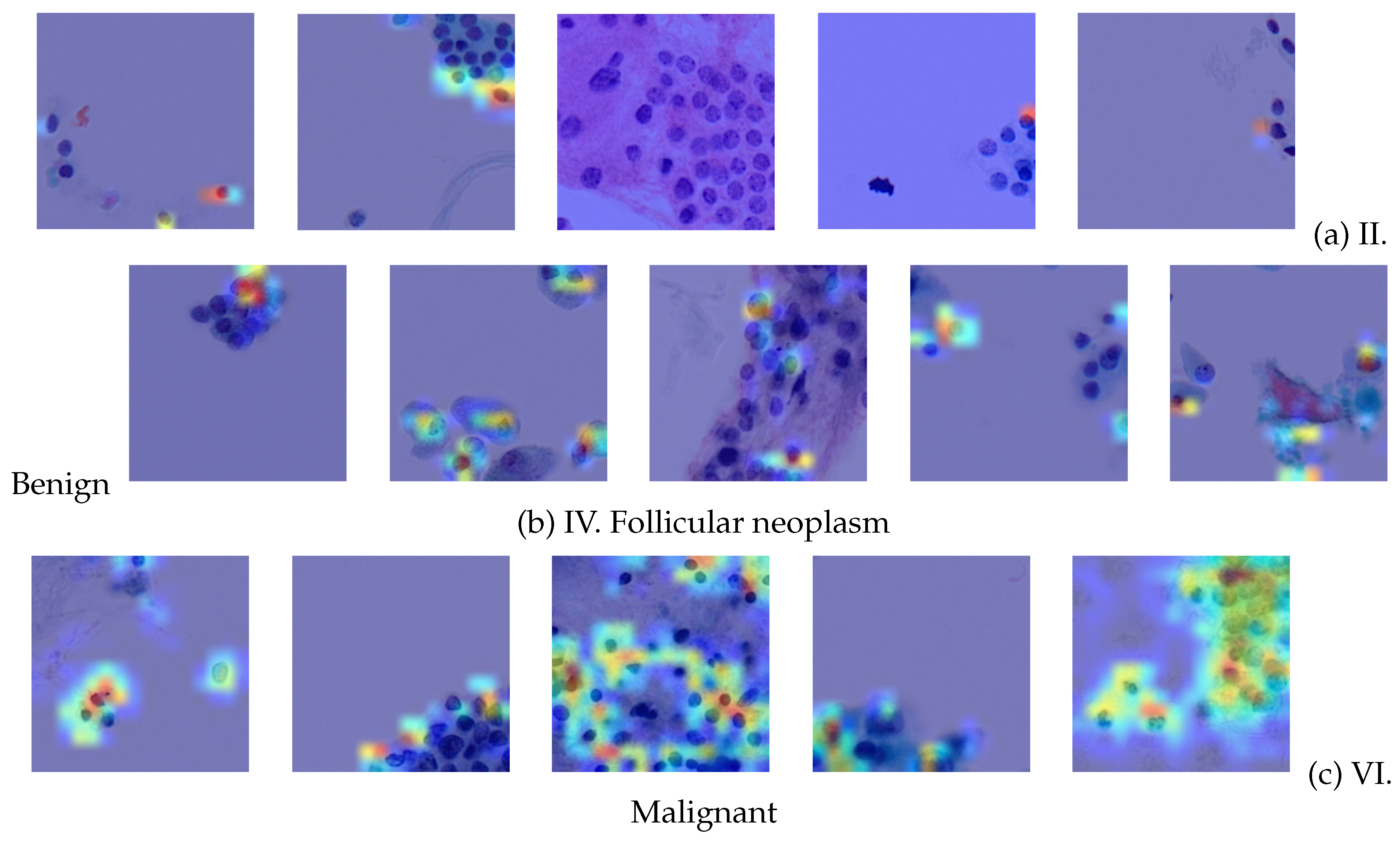 Preprints 149721 g012