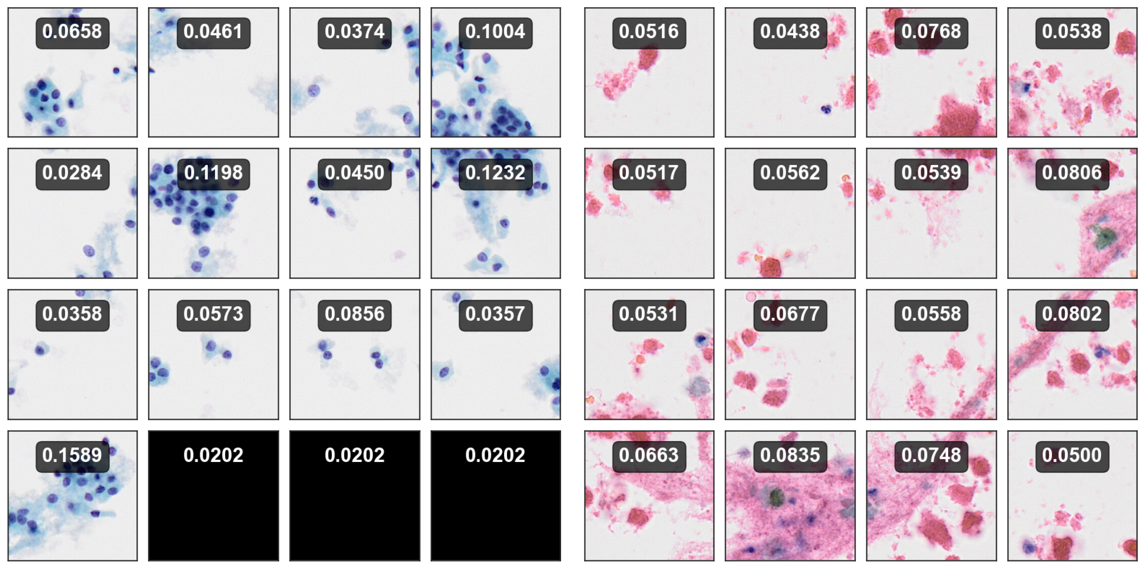 Preprints 149721 g013b